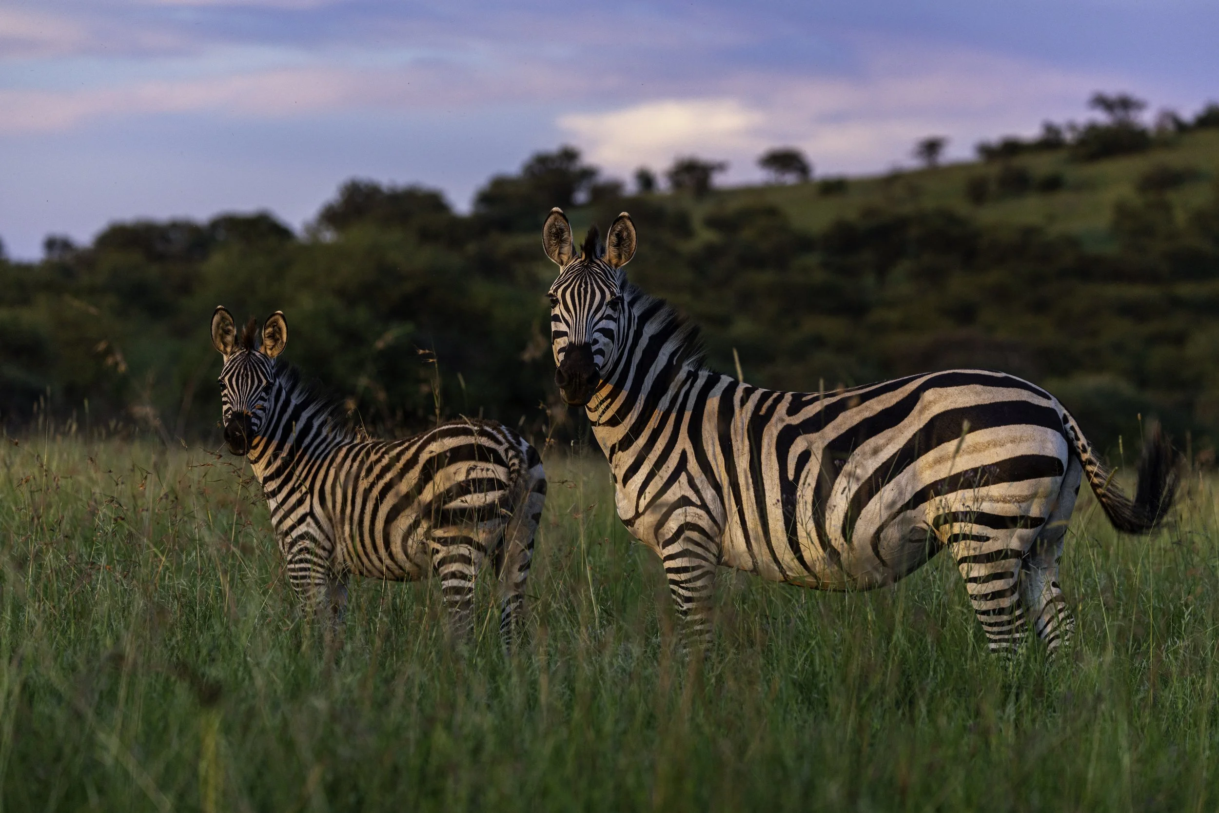 Tanzania 2026-40.jpg