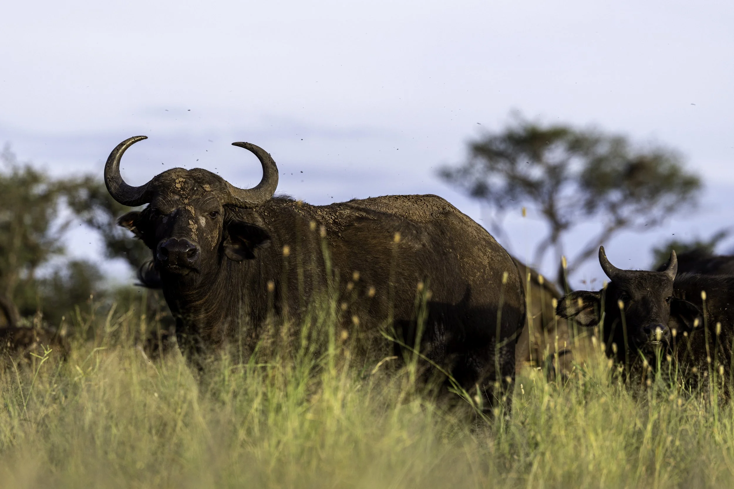 Tanzania 2026-23.jpg