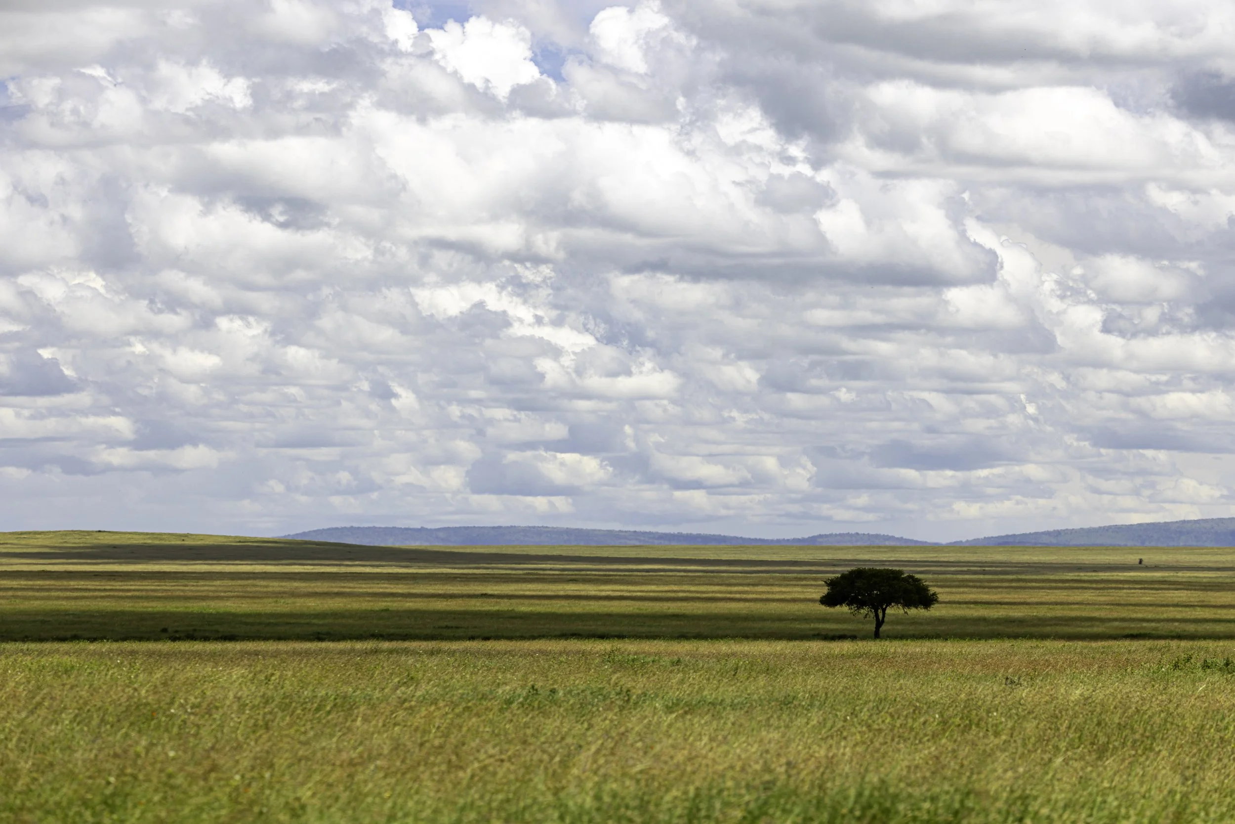 Tanzania 2026-18.jpg