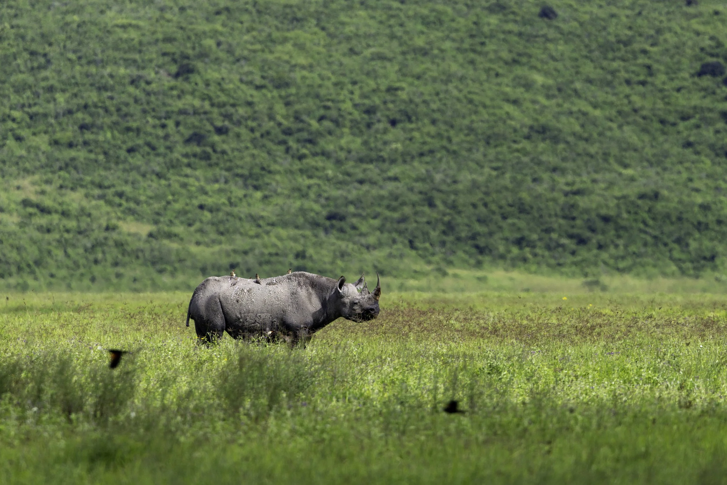 Tanzania 2026-6.jpg