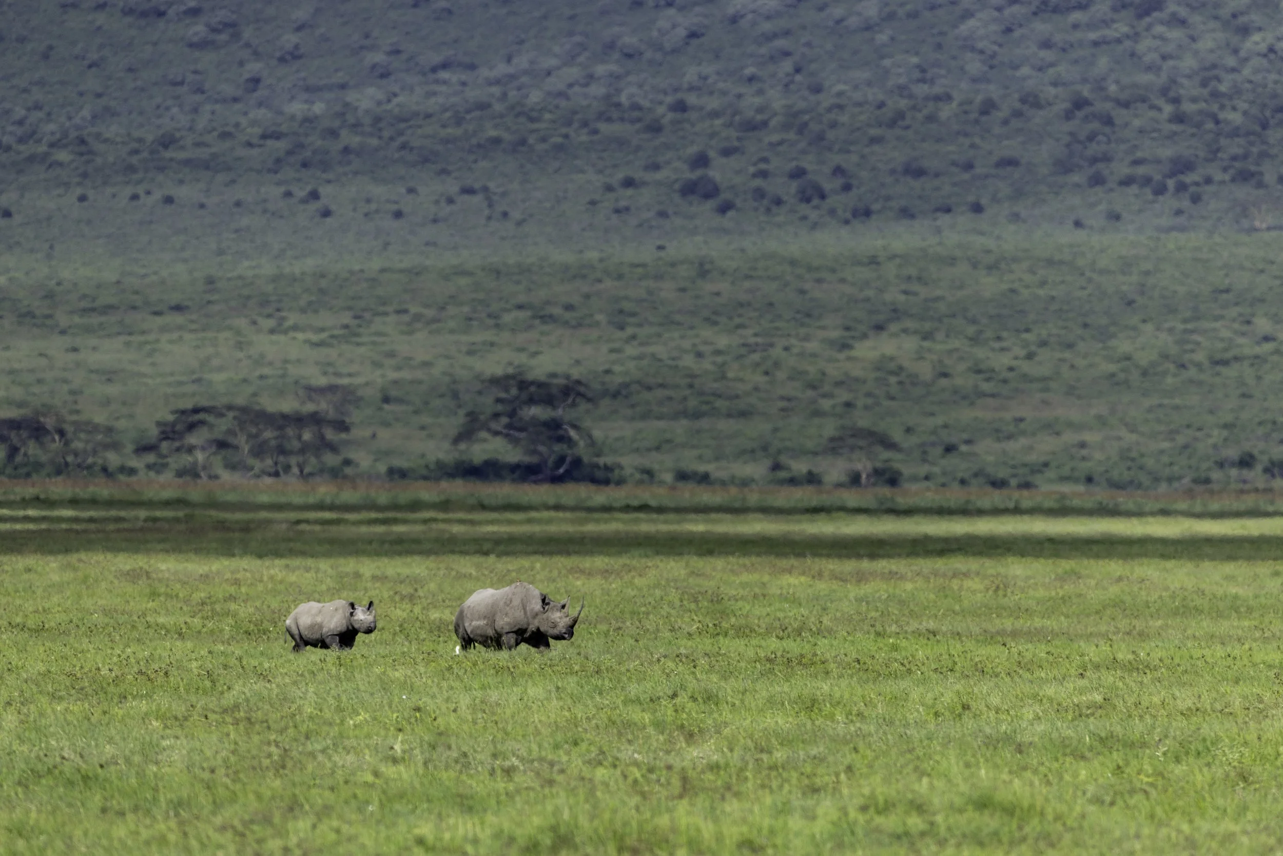 Tanzania 2026-5.jpg