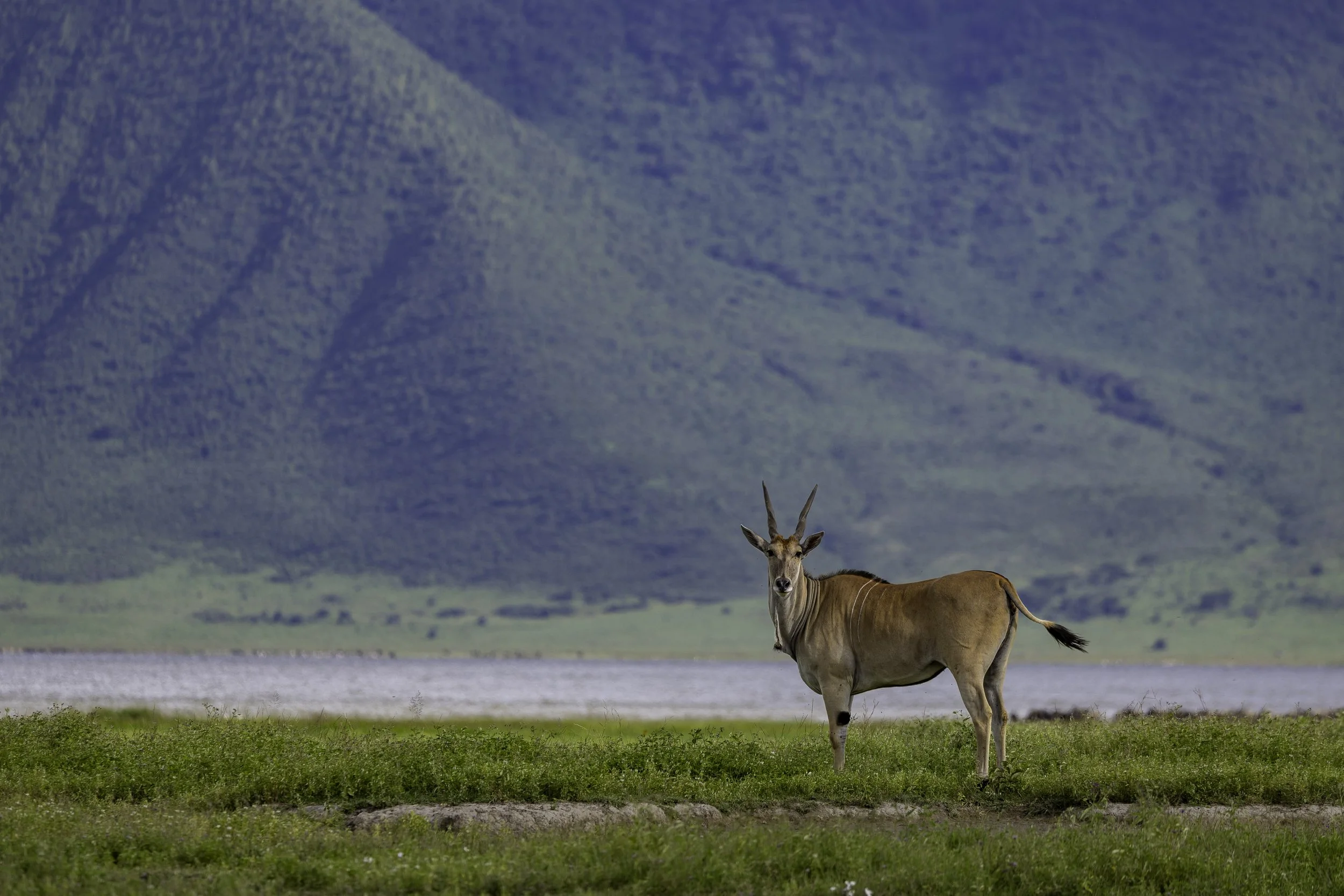 Tanzania 2026-2.jpg