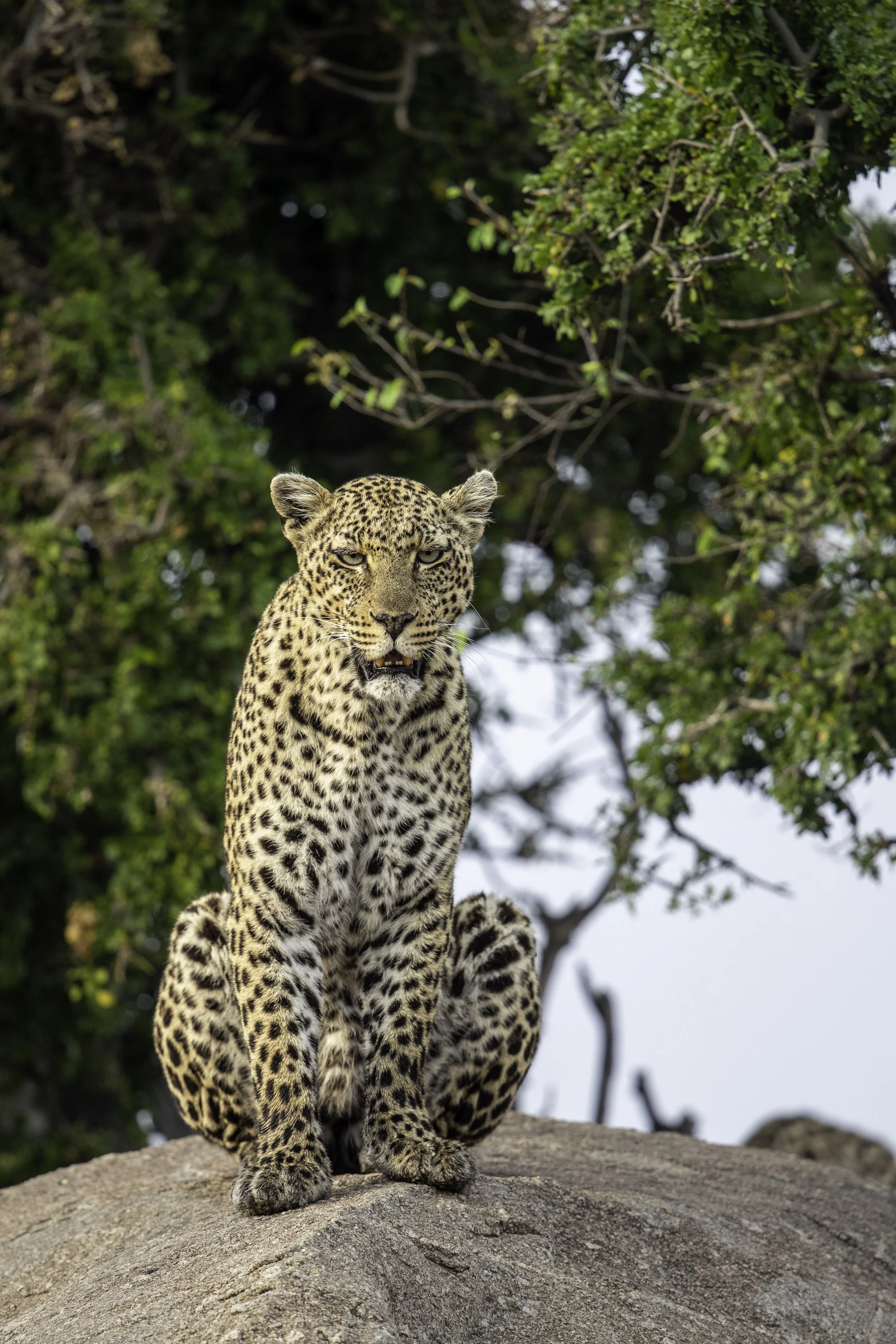 Tanzania 2020 II-4.jpg