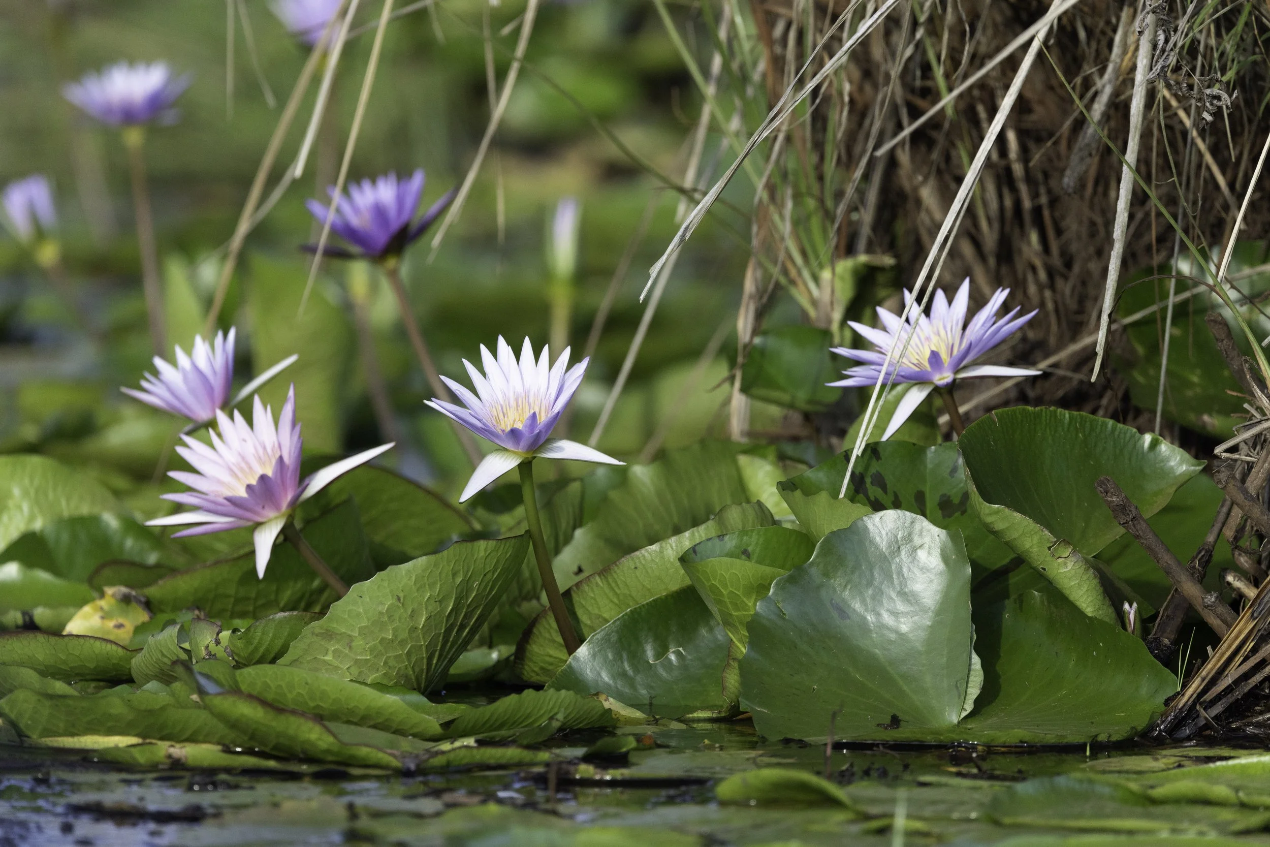 test-86.jpg (Copy)