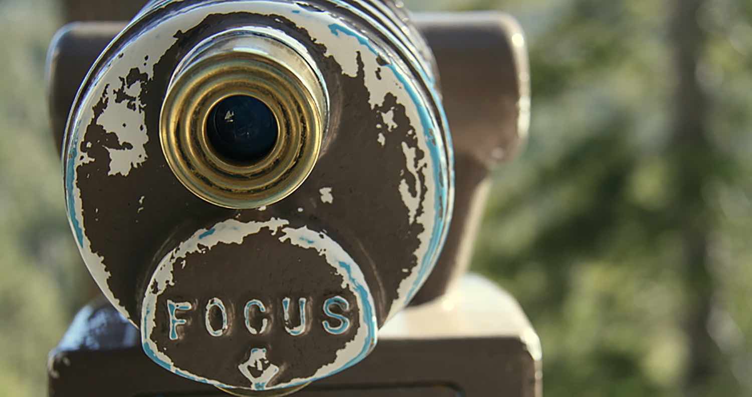 What to focus on in 2017