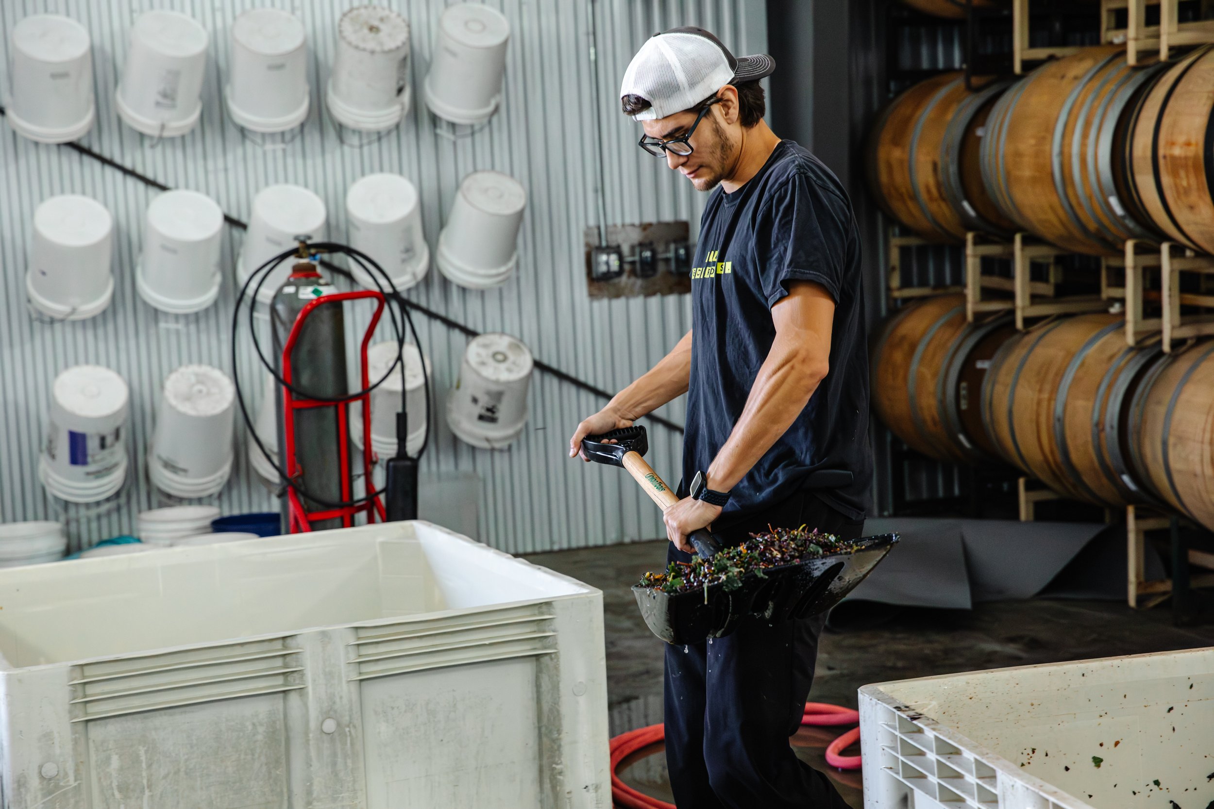 Hector, wearing a blue t-shirt and backwards white hat, shovels grape stems into white bins.