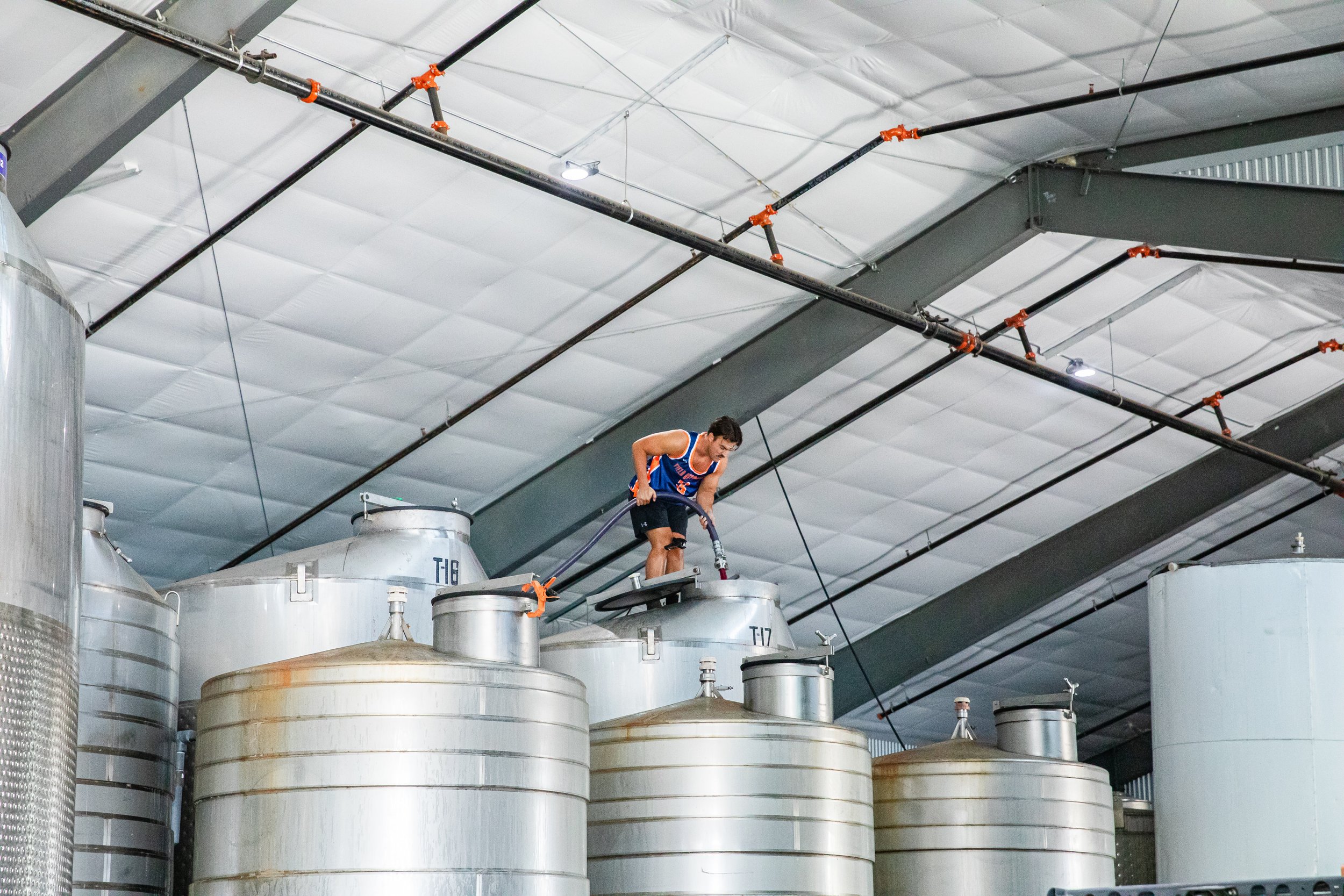 A person in a blue basketball jersey is working on top of large stainless steel tanks at the Field Recordings wine cellar, with a high ceiling and piping overhead.
