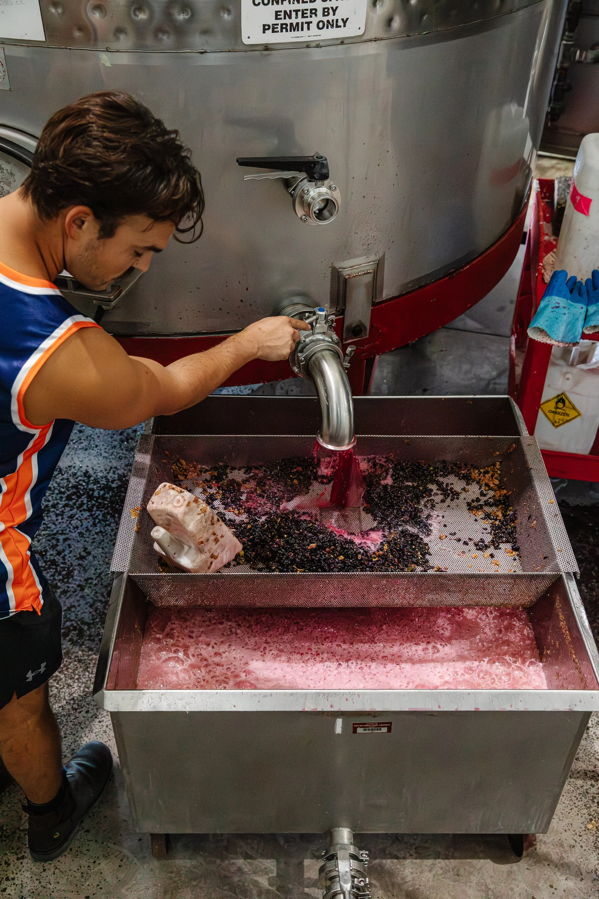 A person opens a nozzle on a stainless steel tank. Red wine grapes are being processed.