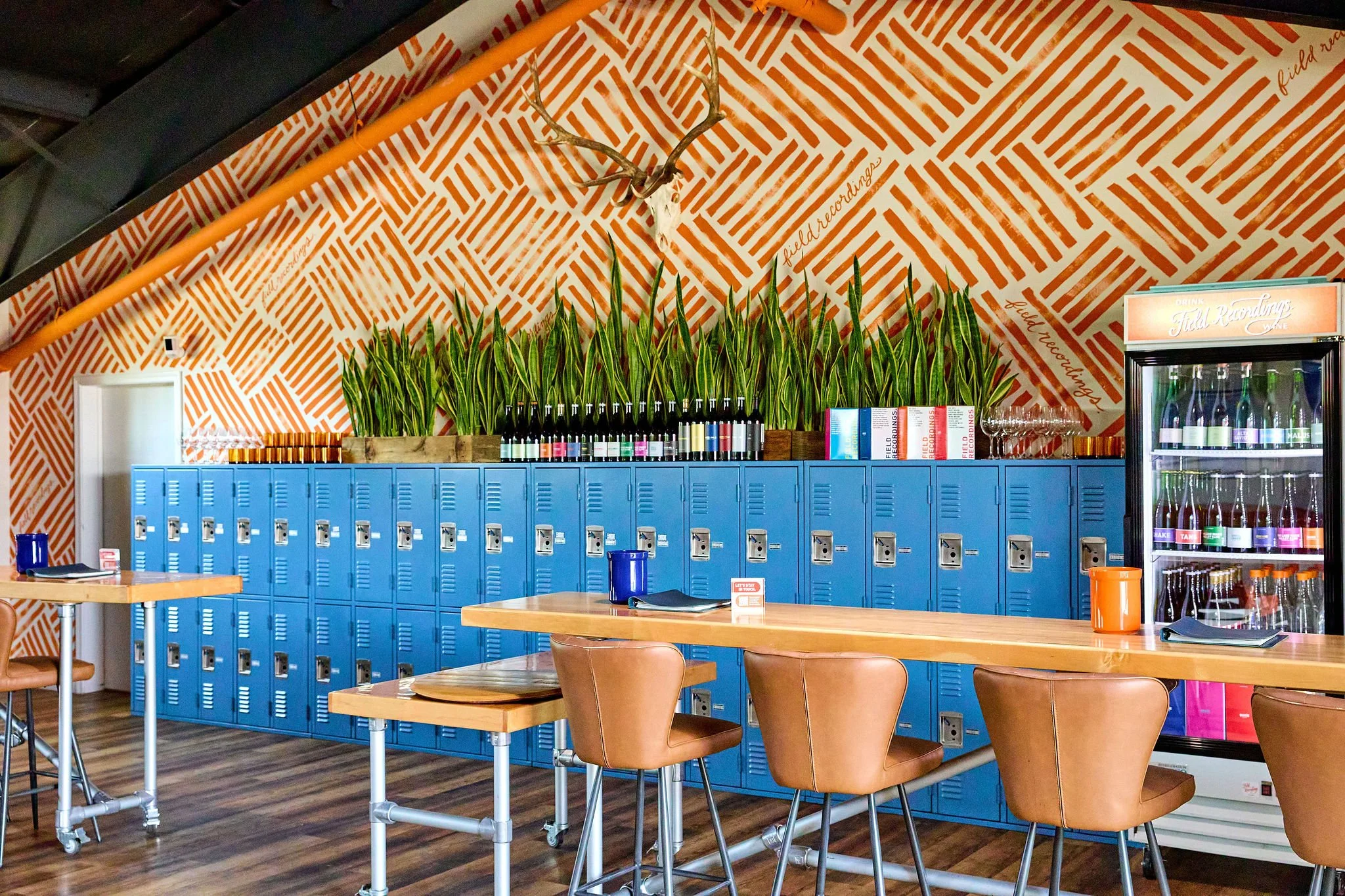 Interior of the Field Recordings tasting room featuring a bright blue locker storage unit, wooden tables with brown chairs, green plants on top of the lockers, and a decorative wall with orange and white wallpaper and a mounted antler sculpture.