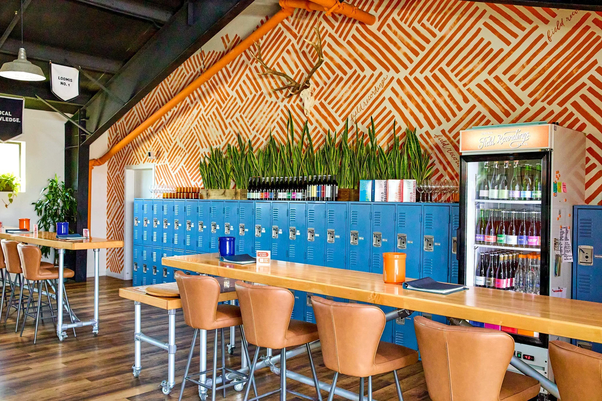 The Field Recordings tasting room bar, with blue lockers and an orange patterned wall.