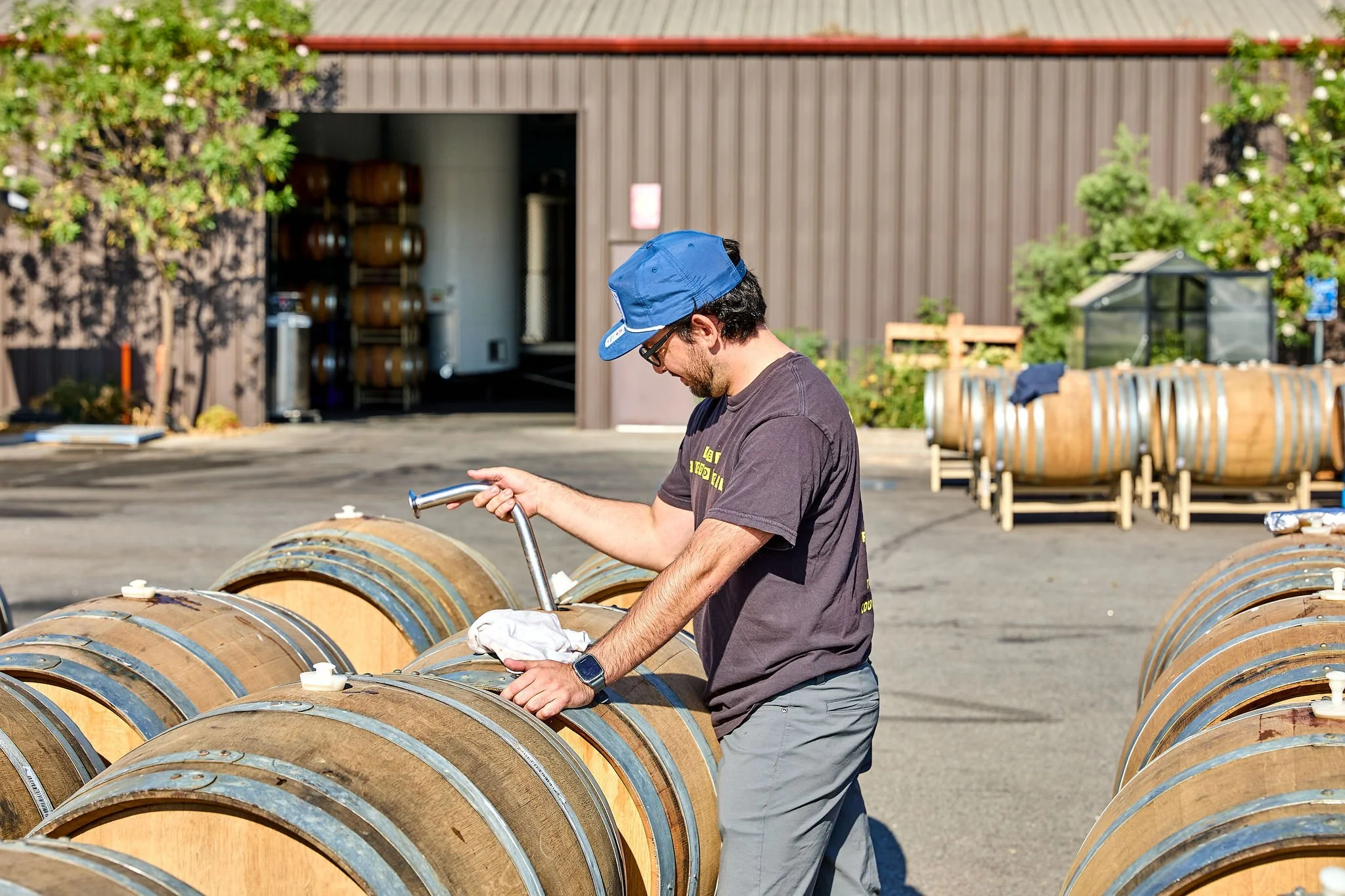 A person takes a sample of a barrel in the parking lot of the FIeld Recordings cellar.