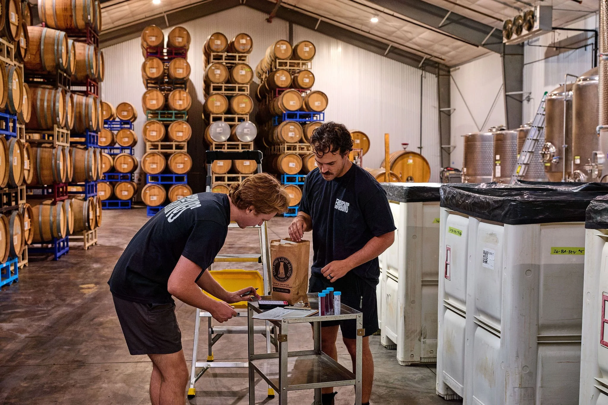 Jack and Austin take notes on wine samples in the Field Recordings cellar, surrounded by white bins and barrels.