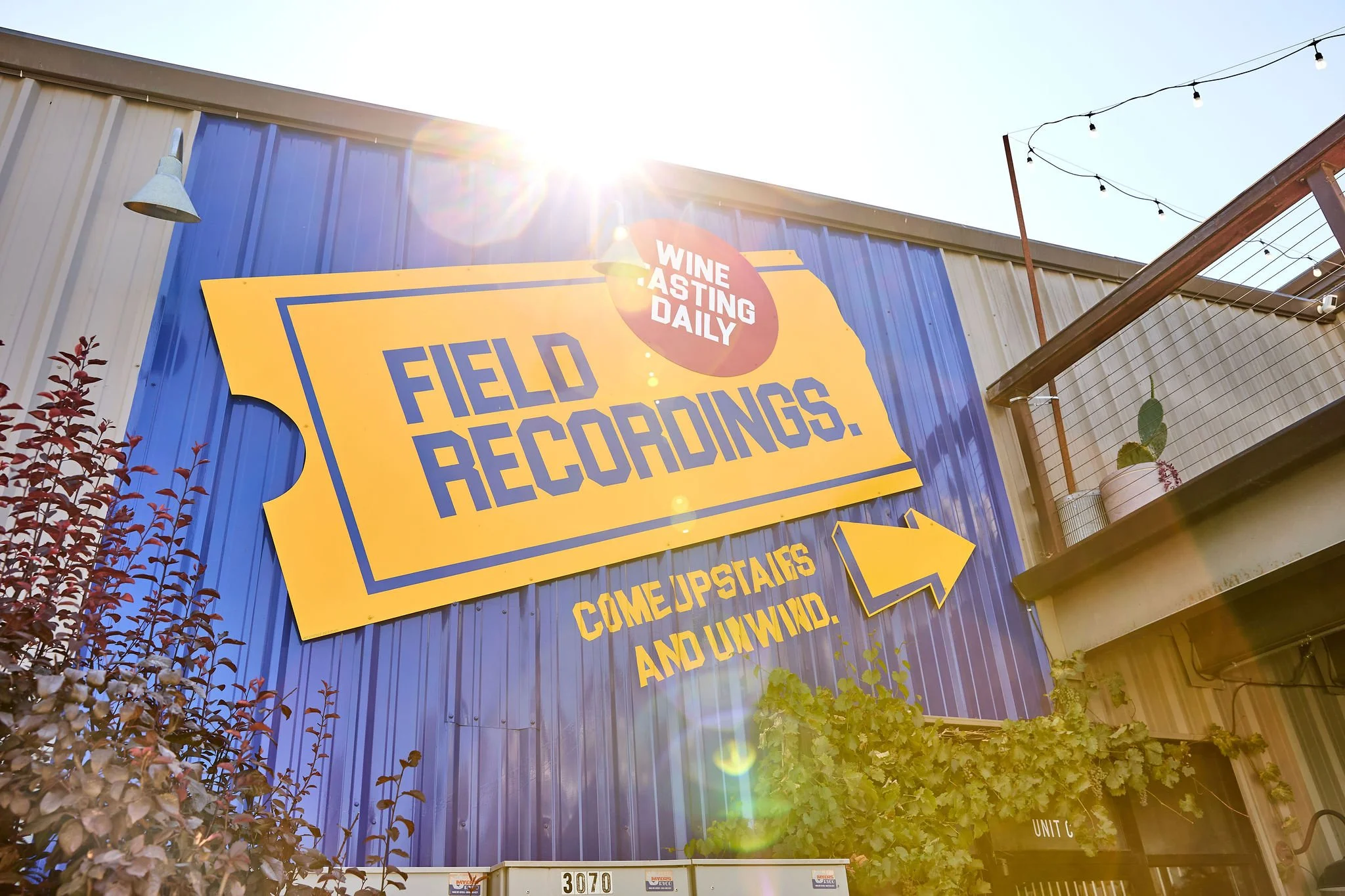 Large blue and yellow sign on a tin wall reading "Field Recordings: Come Upstairs and Unwind" with directional arrows and additional text. Surrounding plants and hanging string lights are visible, with the sun shining brightly overhead.