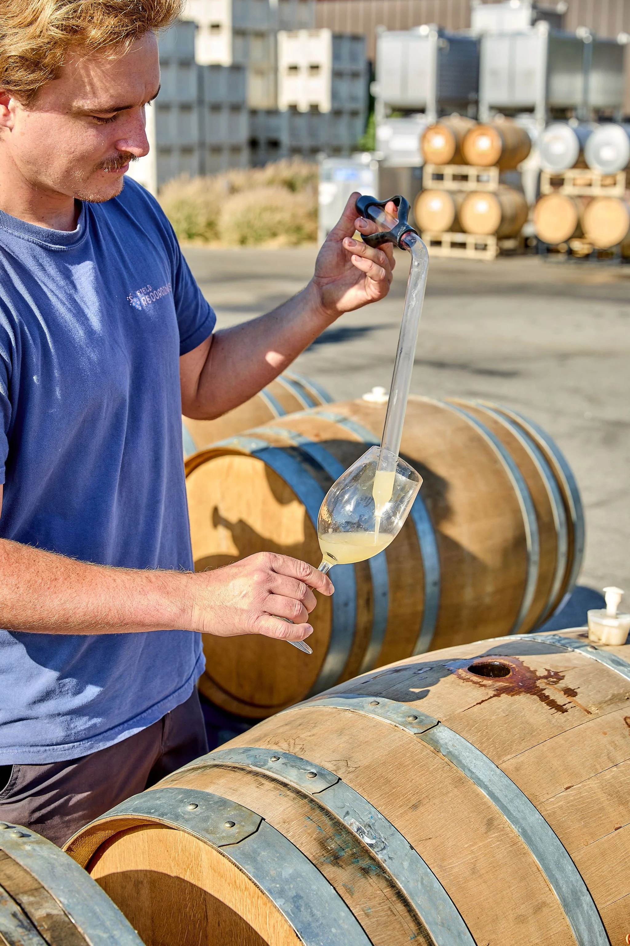 A person in a blue t-shirt pours a barrel sample into a wine glass. He is standing among a few barrels in a parking lot.