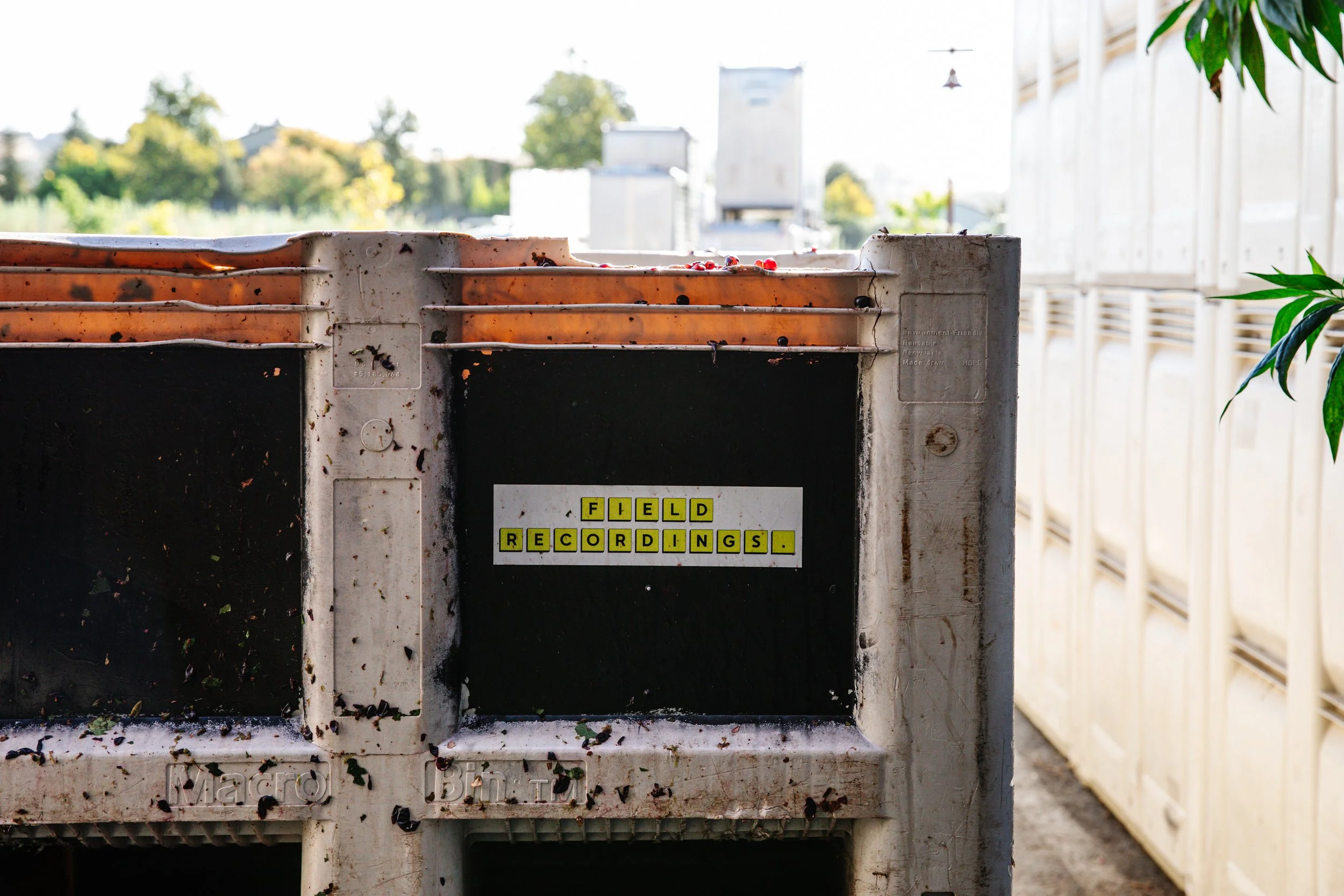 A large black and white bin with a Field Recordings sticker on the side. Some red wine grapes are visible at the top of the bin.