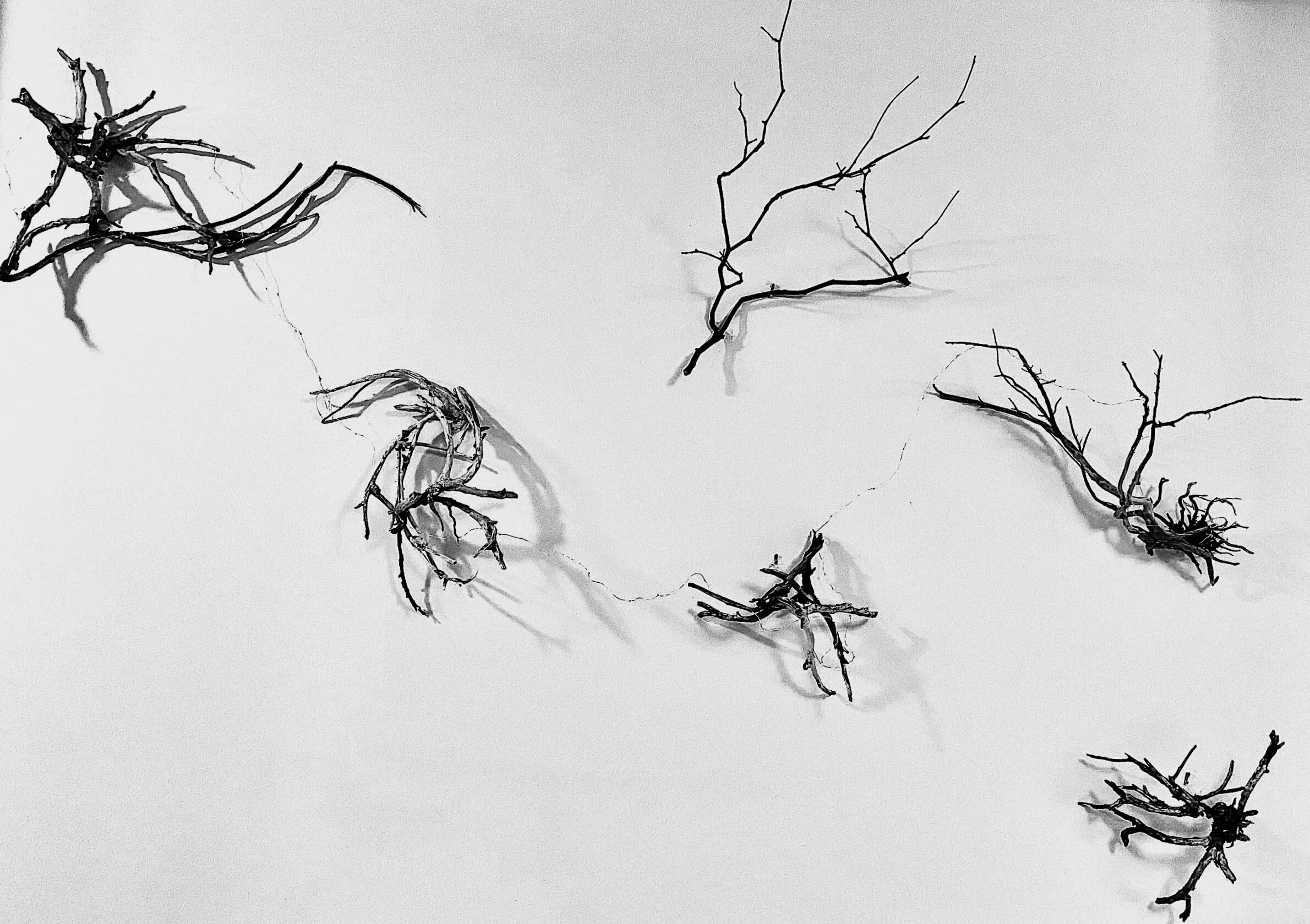 Initial wall installation