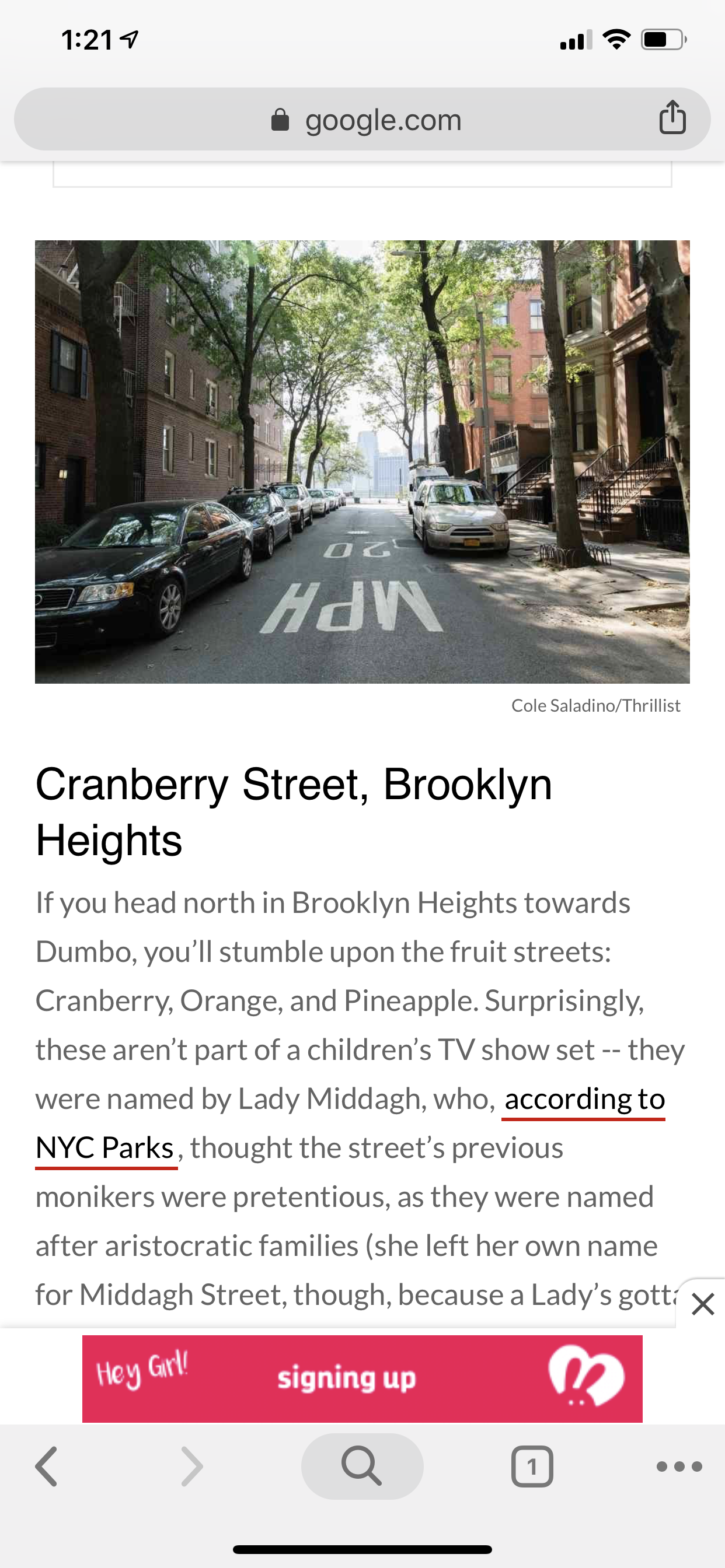 brooklyn-heights-02.PNG