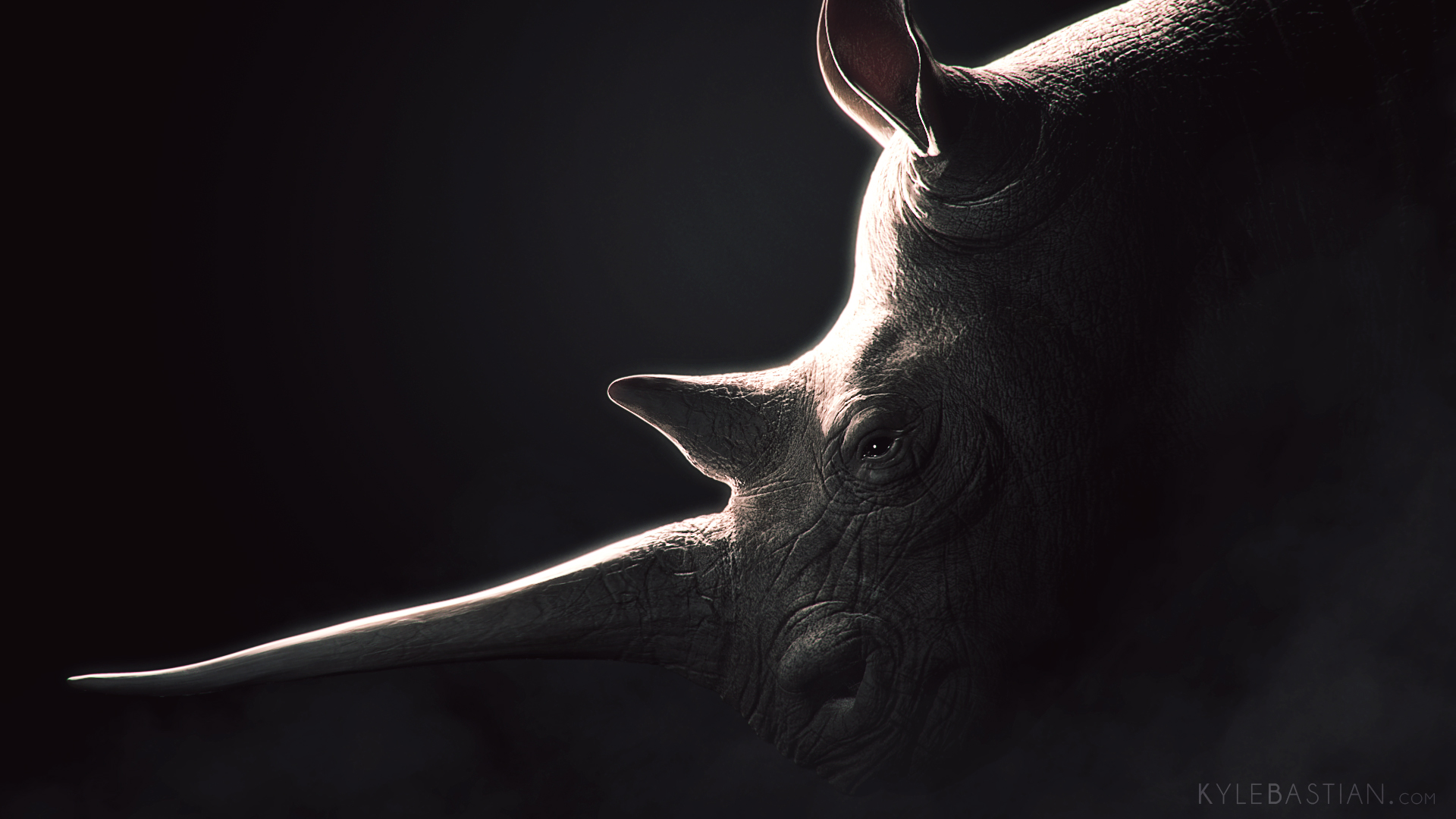 Rhino_FINAL.jpg