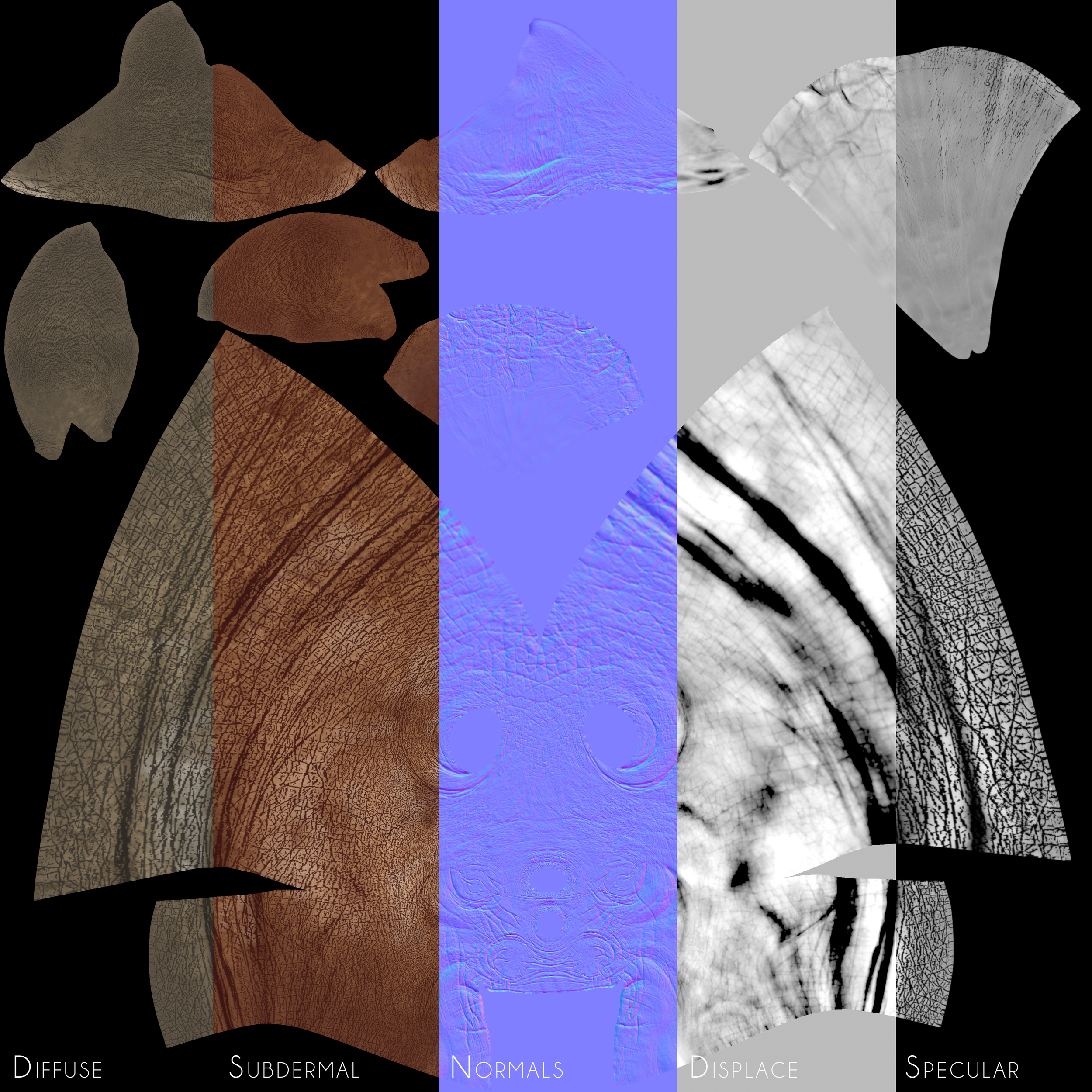 Rhino_Texture_Breakdown.jpg