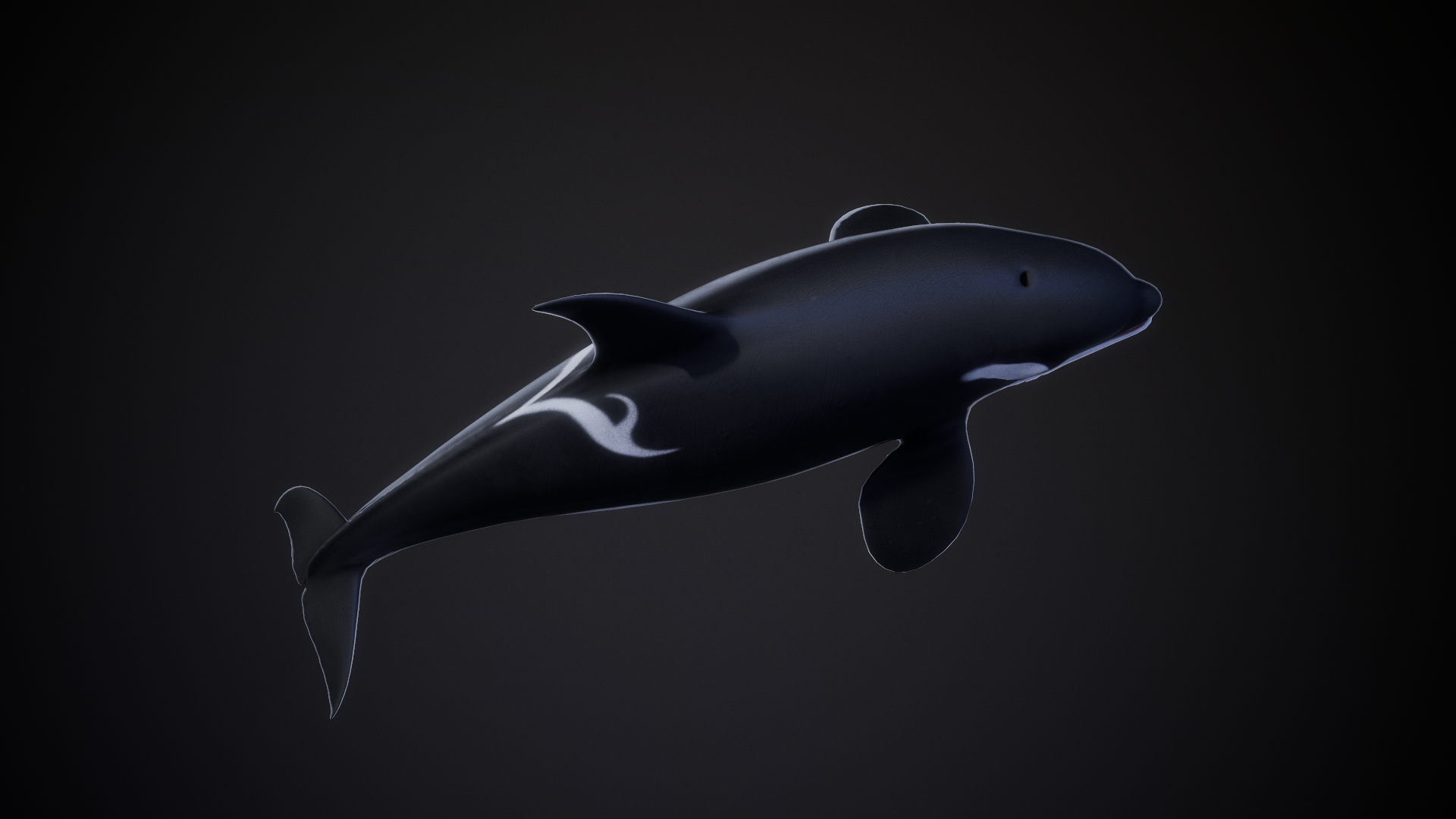 Orca_04.png