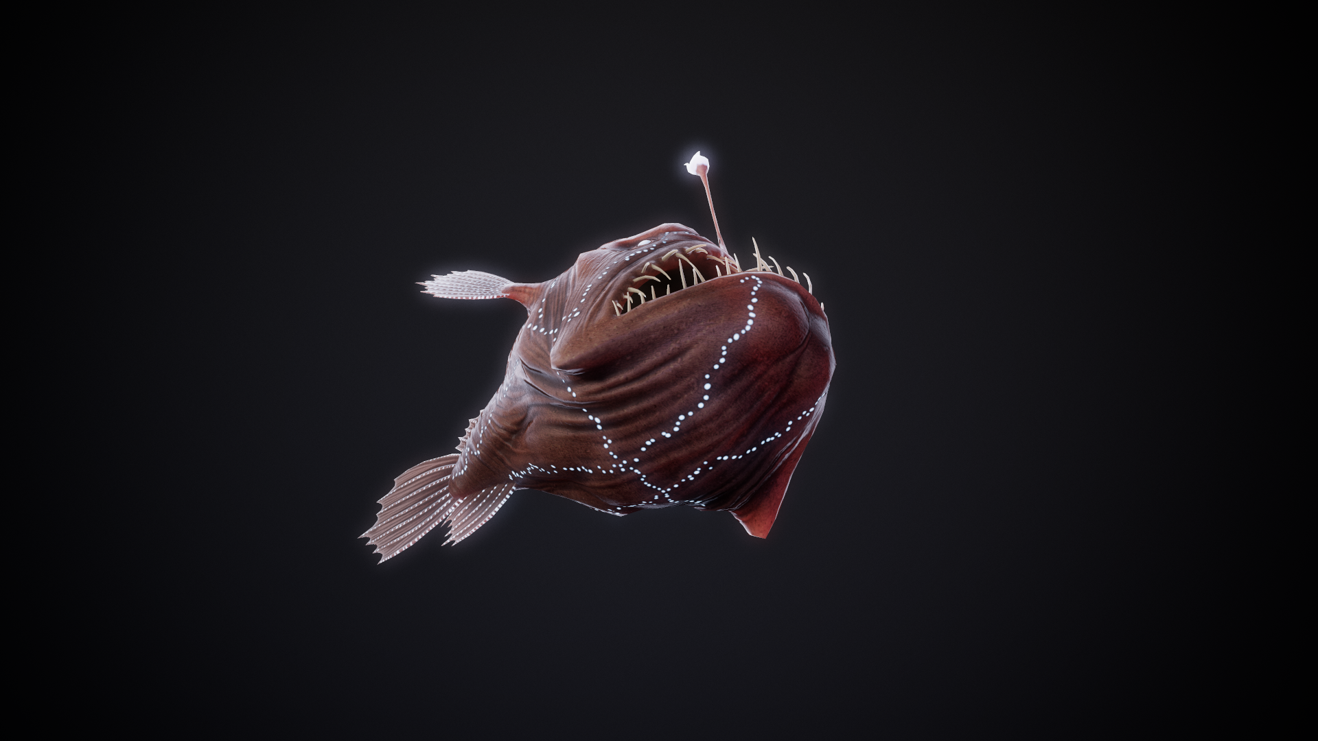 AnglerFish_04.png