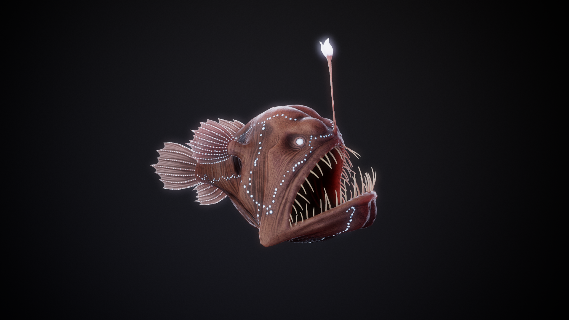AnglerFish_01.png