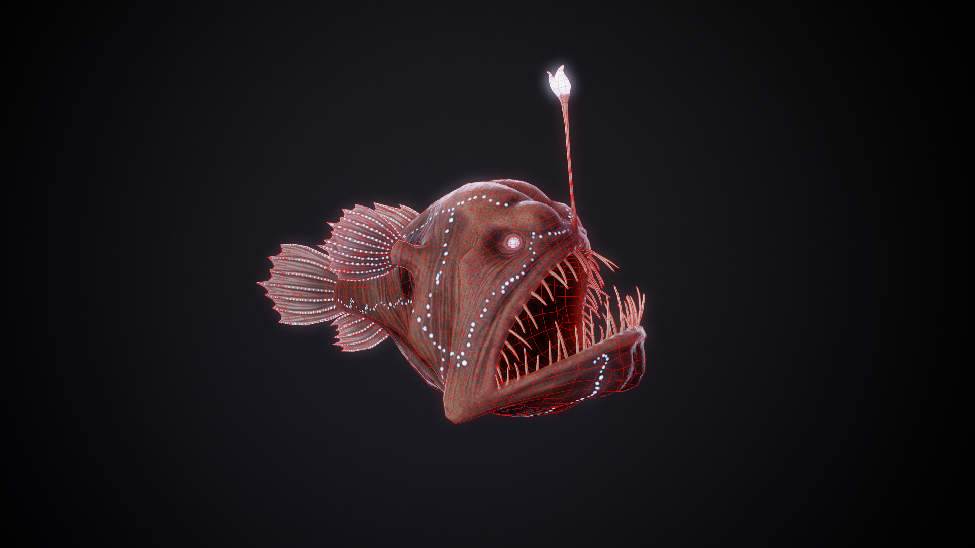 AnglerFish_01_WireFrame.png
