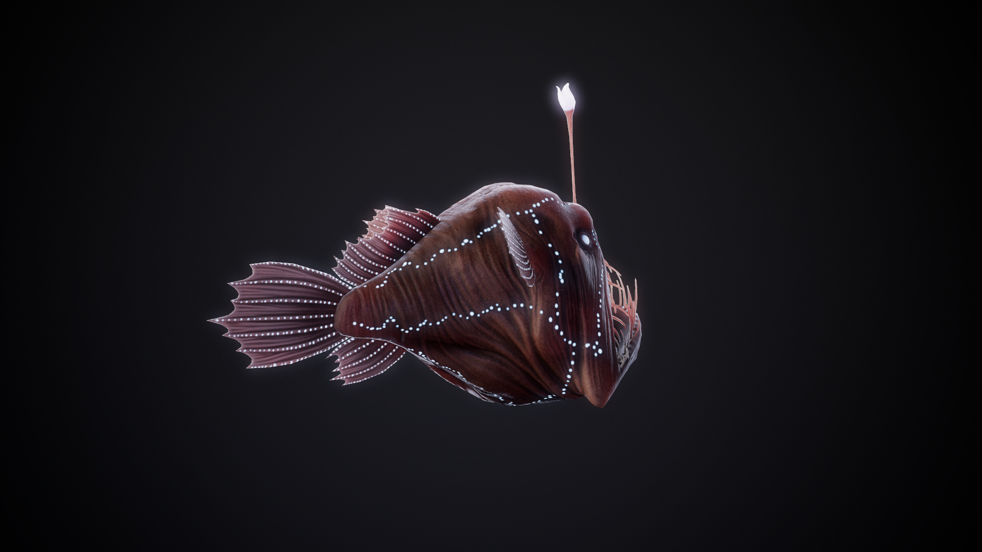AnglerFish_03.png