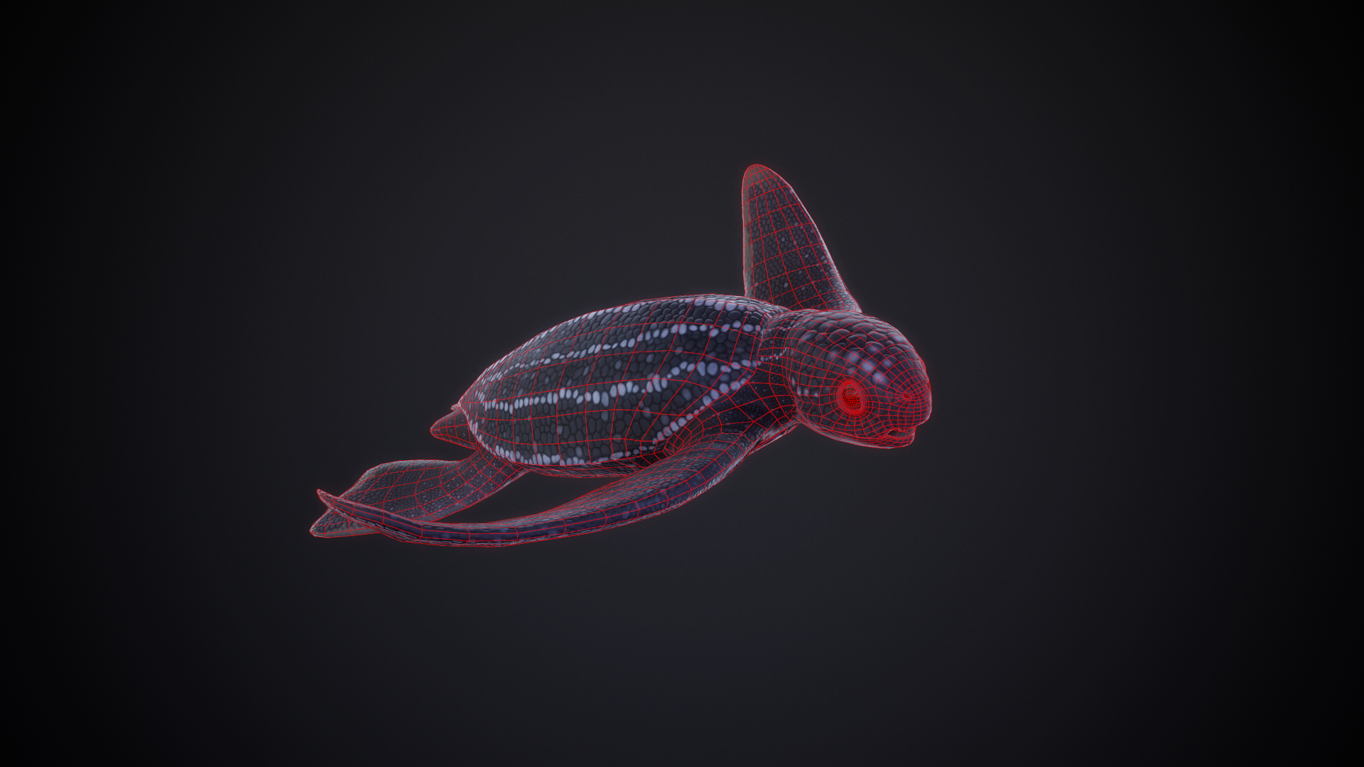 Leatherback_Baby_01_WireFrame.png