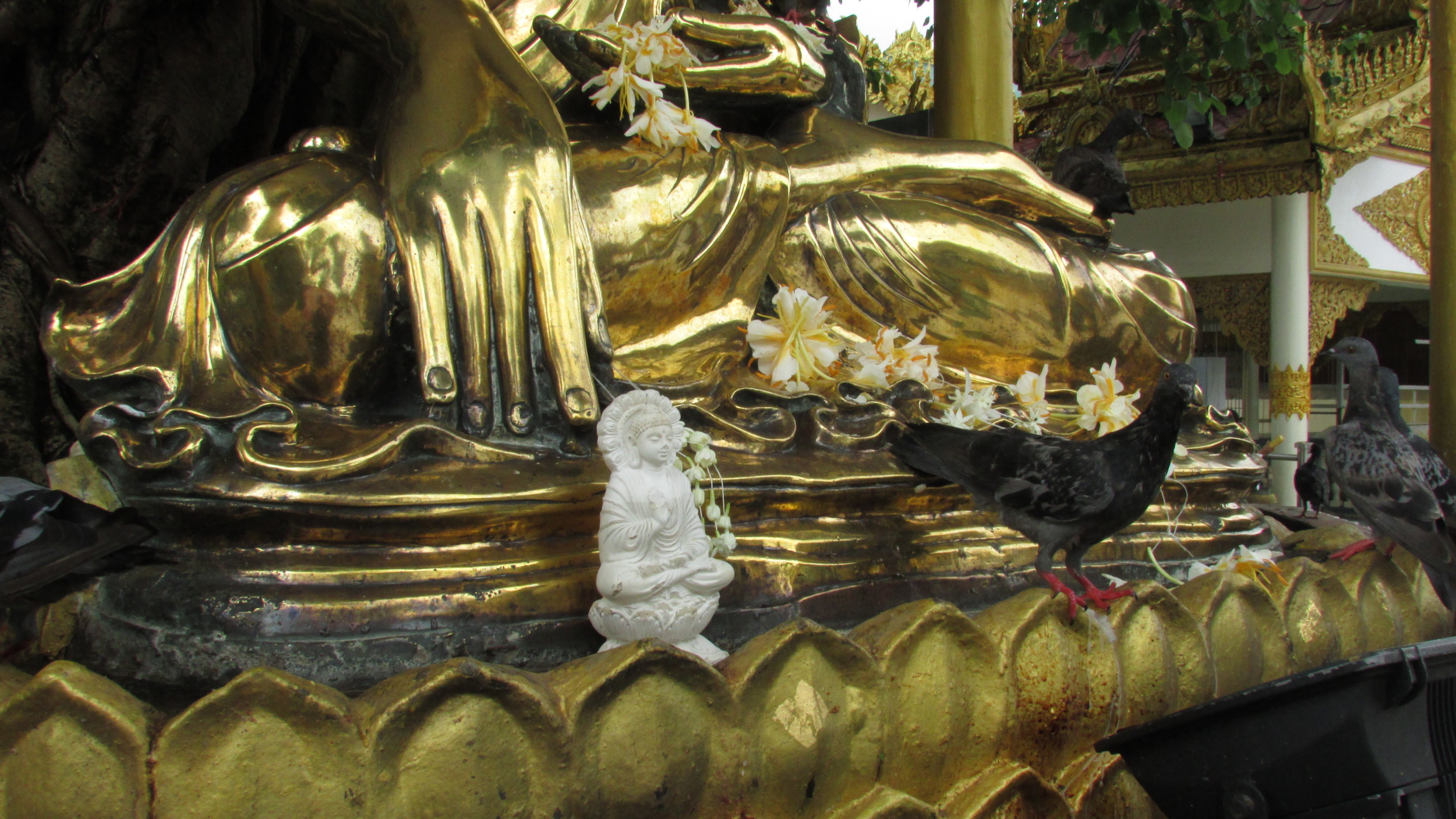 Pigeon feet and Buddha foot, Shwedagon Pagoda.