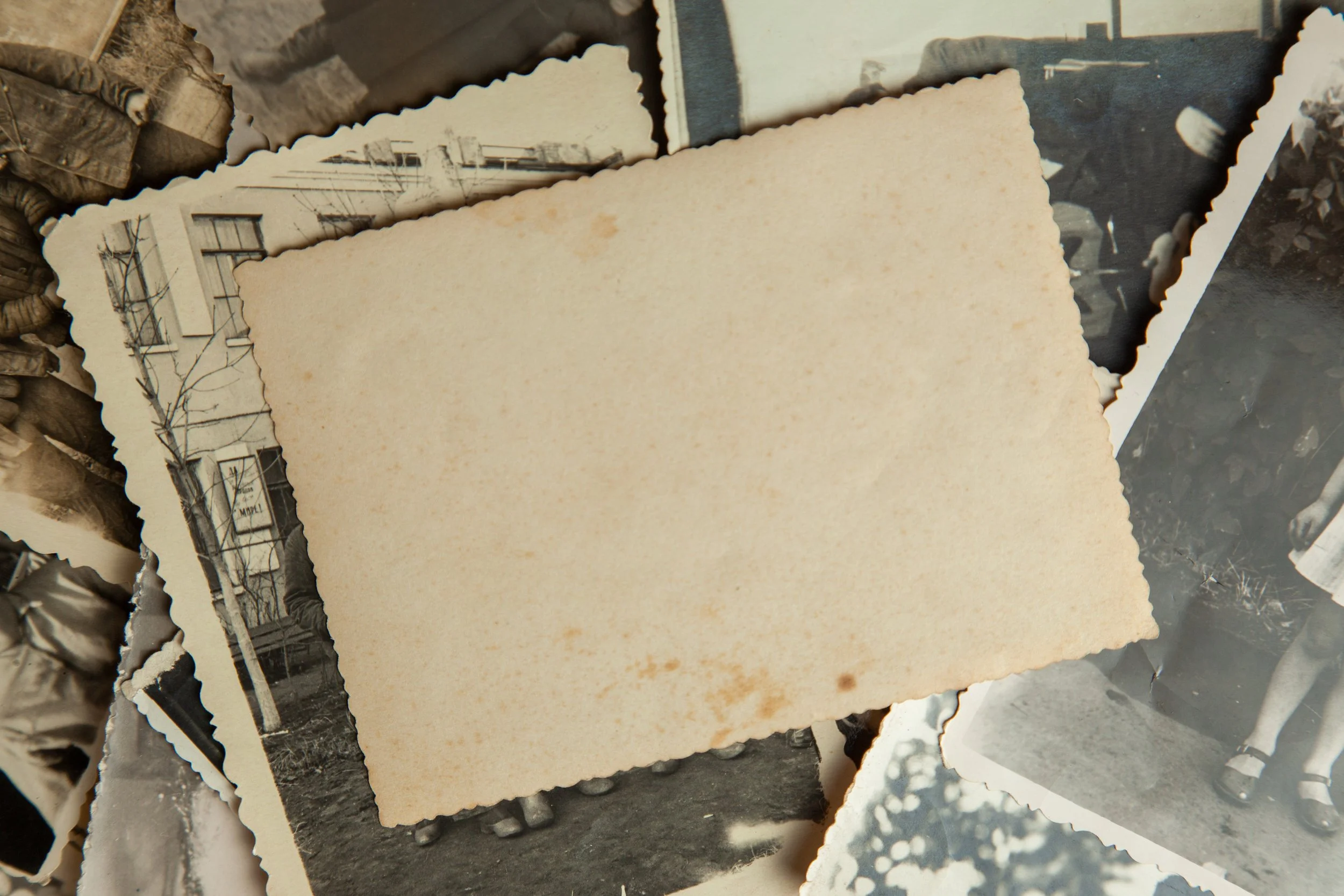 AdobeStock_217217727.jpeg