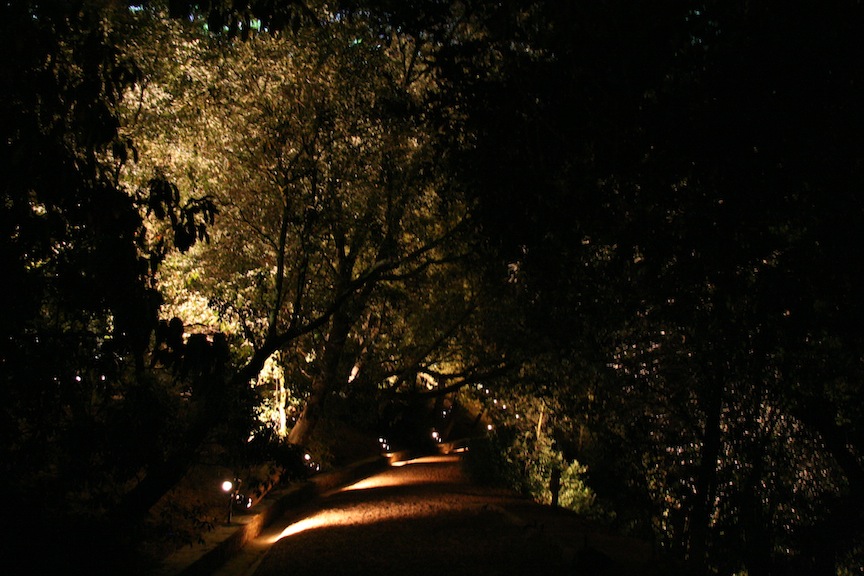 Treepeople Path 2008.JPG