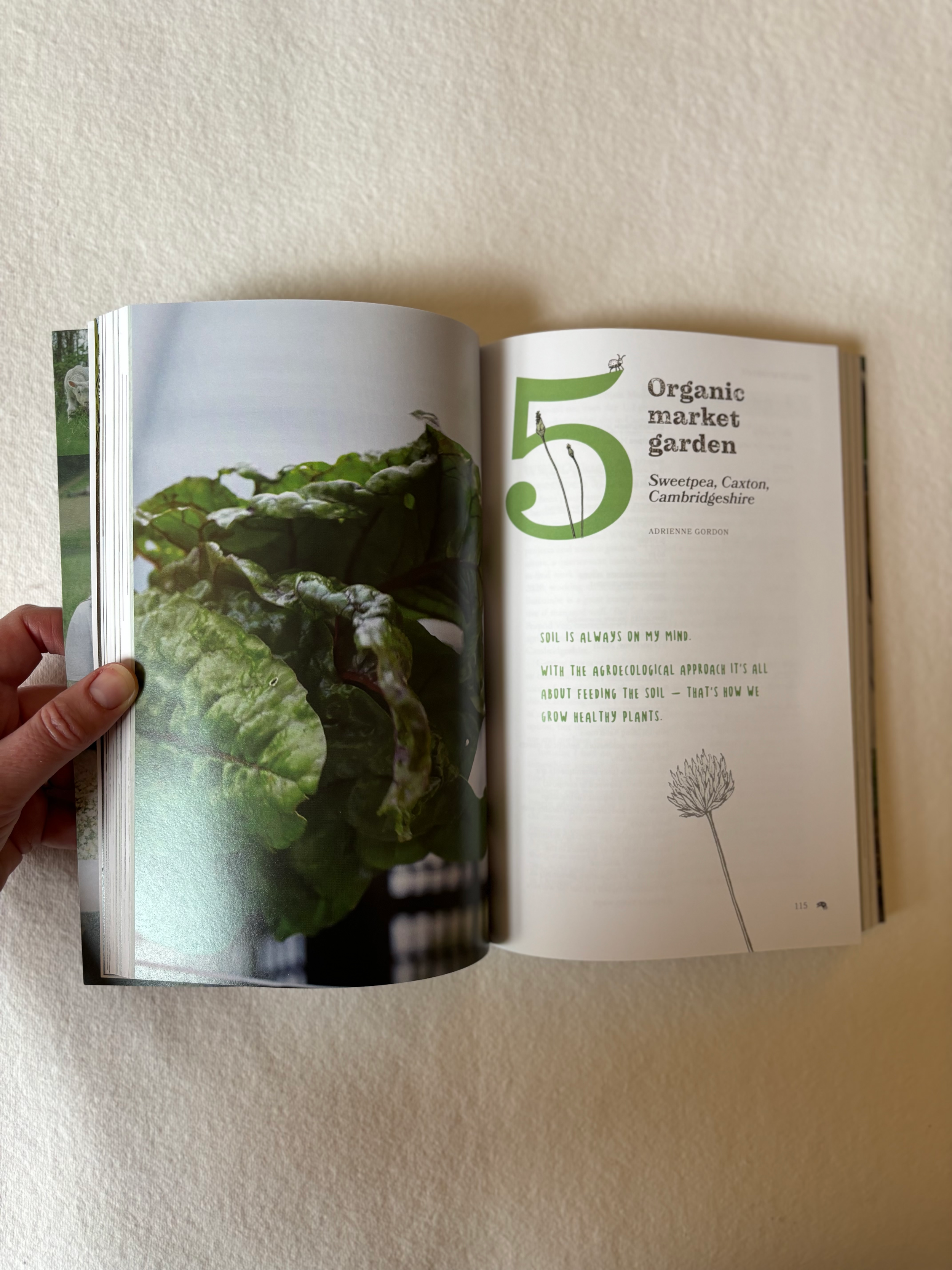 Book illustration design ink drawing.png