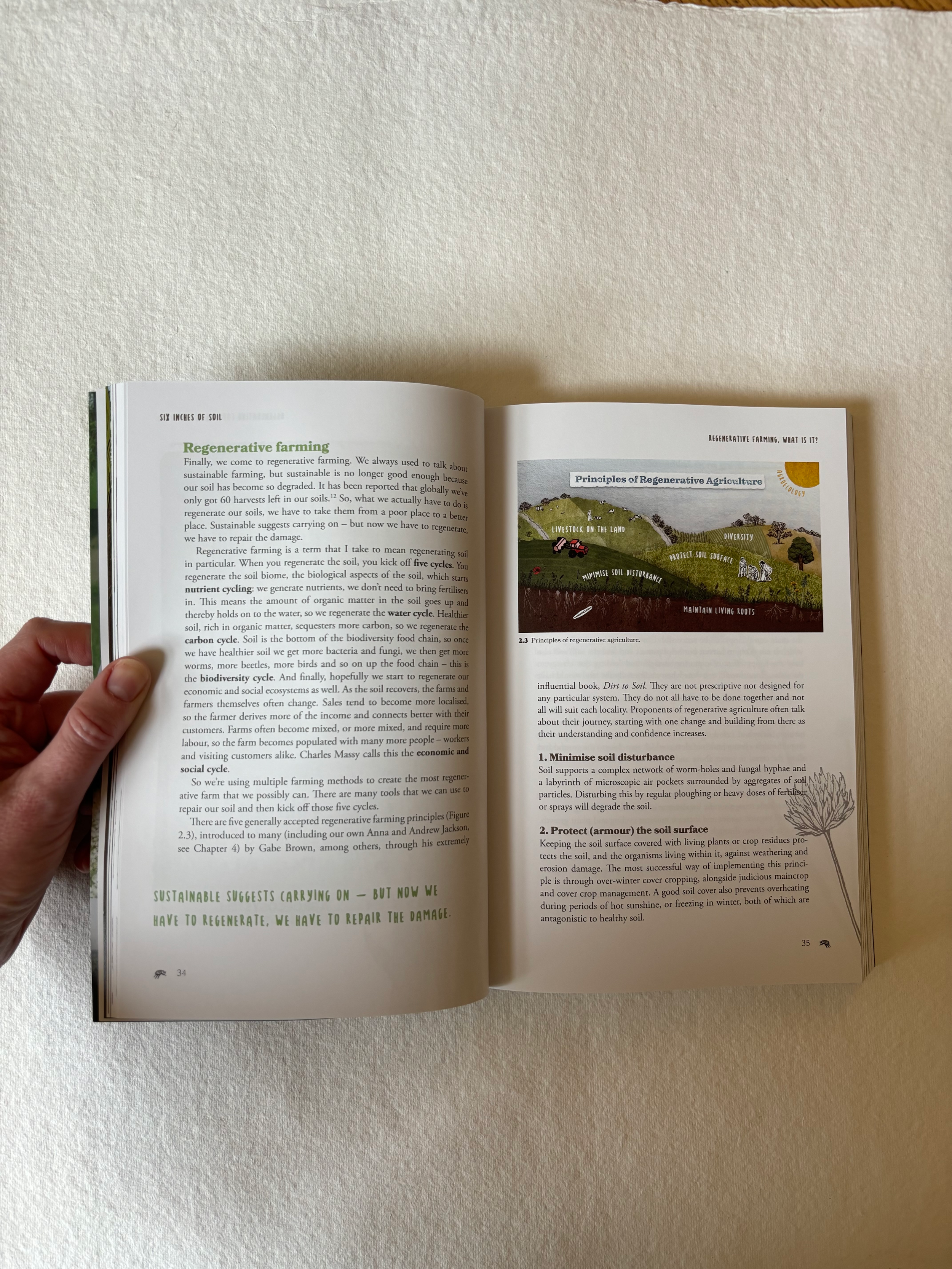 Book illustration environment regenerative farming infographic.png