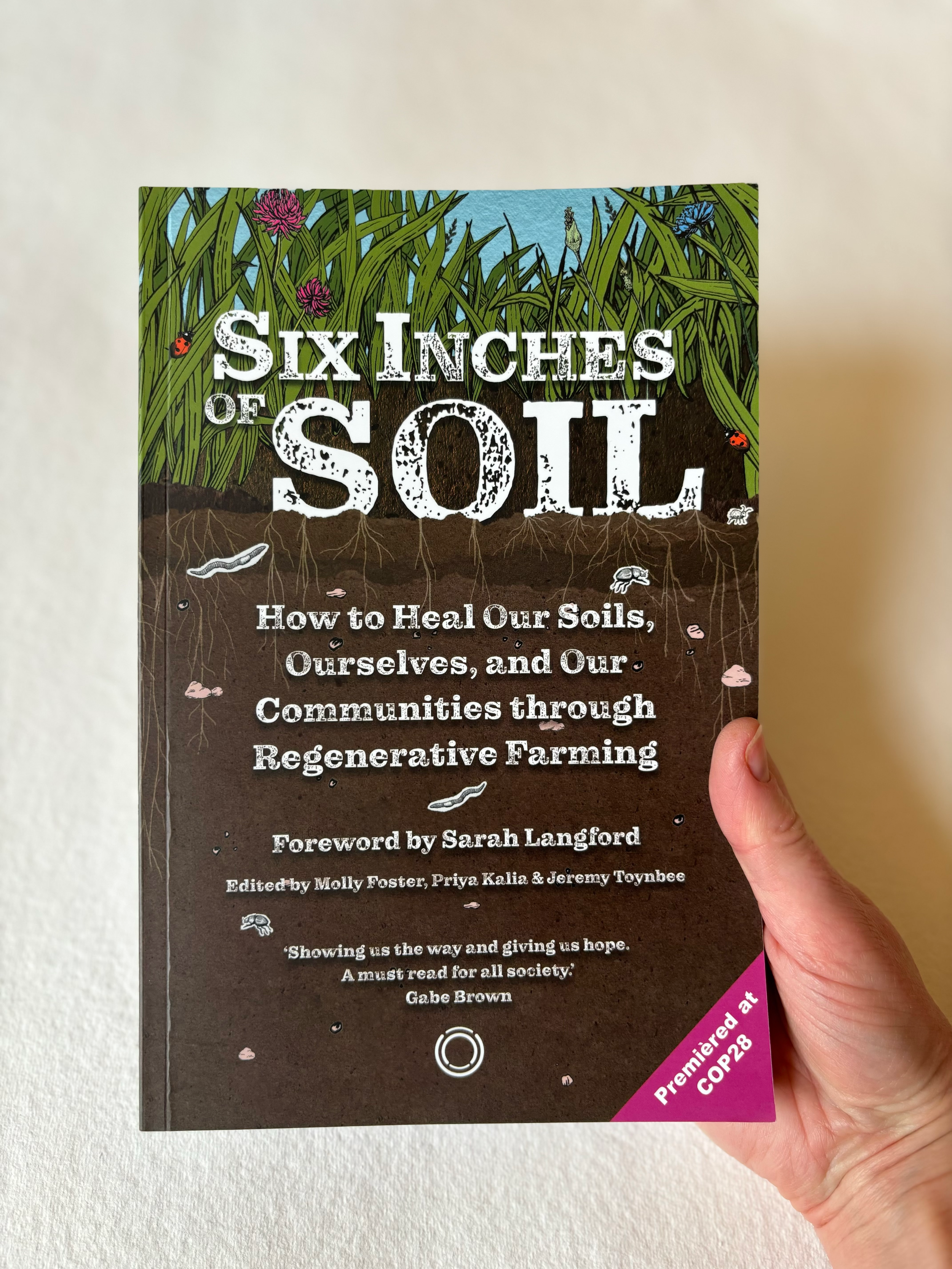 Book cover design collage textured ink drawing.png