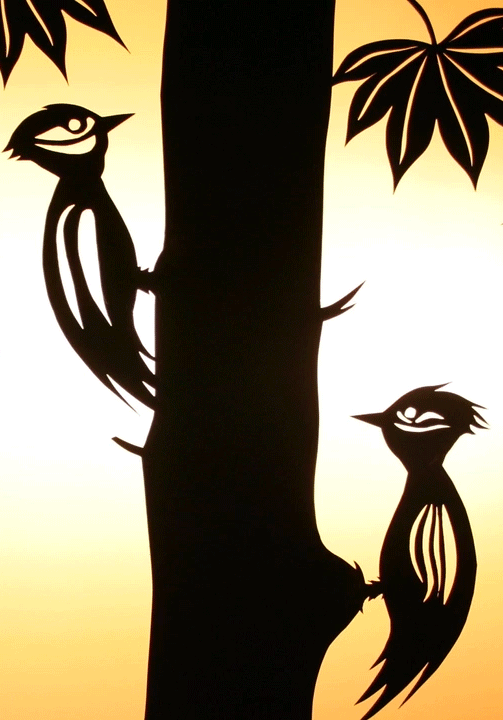 Stop Motion silhouette drawing animation birds woodpeckers paper cut.gif