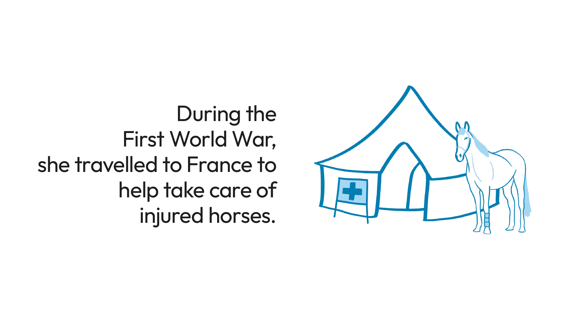 Digital hand drawn illustration horse.png
