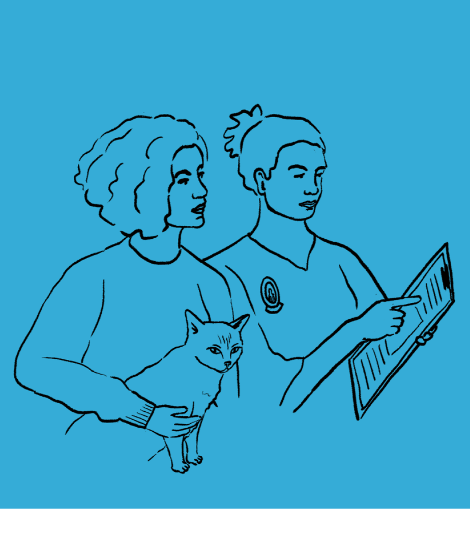 Professional report design and illustration 2.png