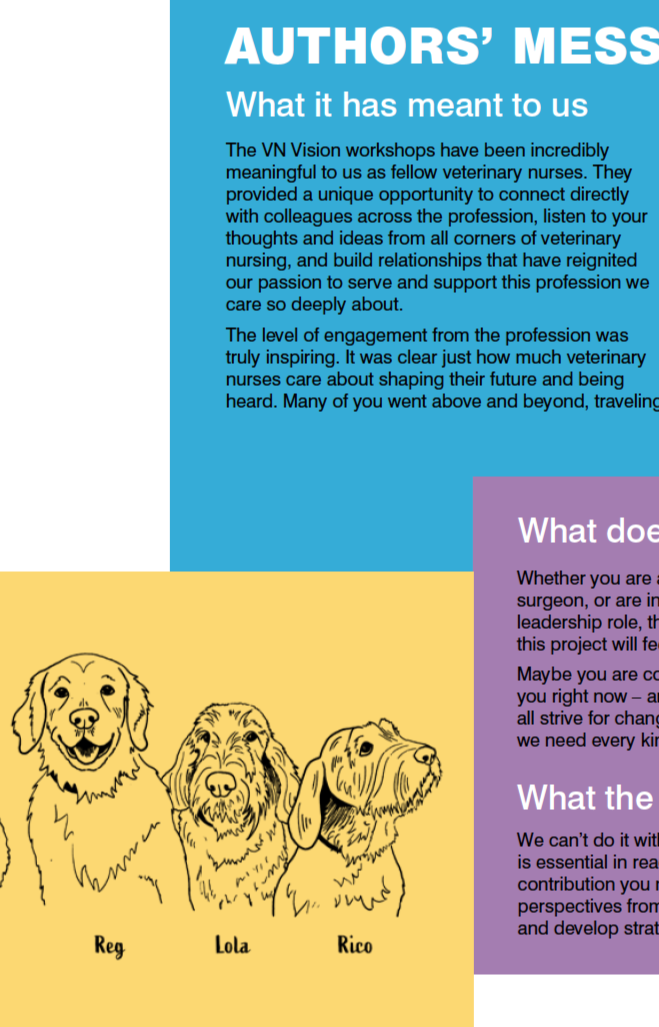 Professional report design and illustration 6.png