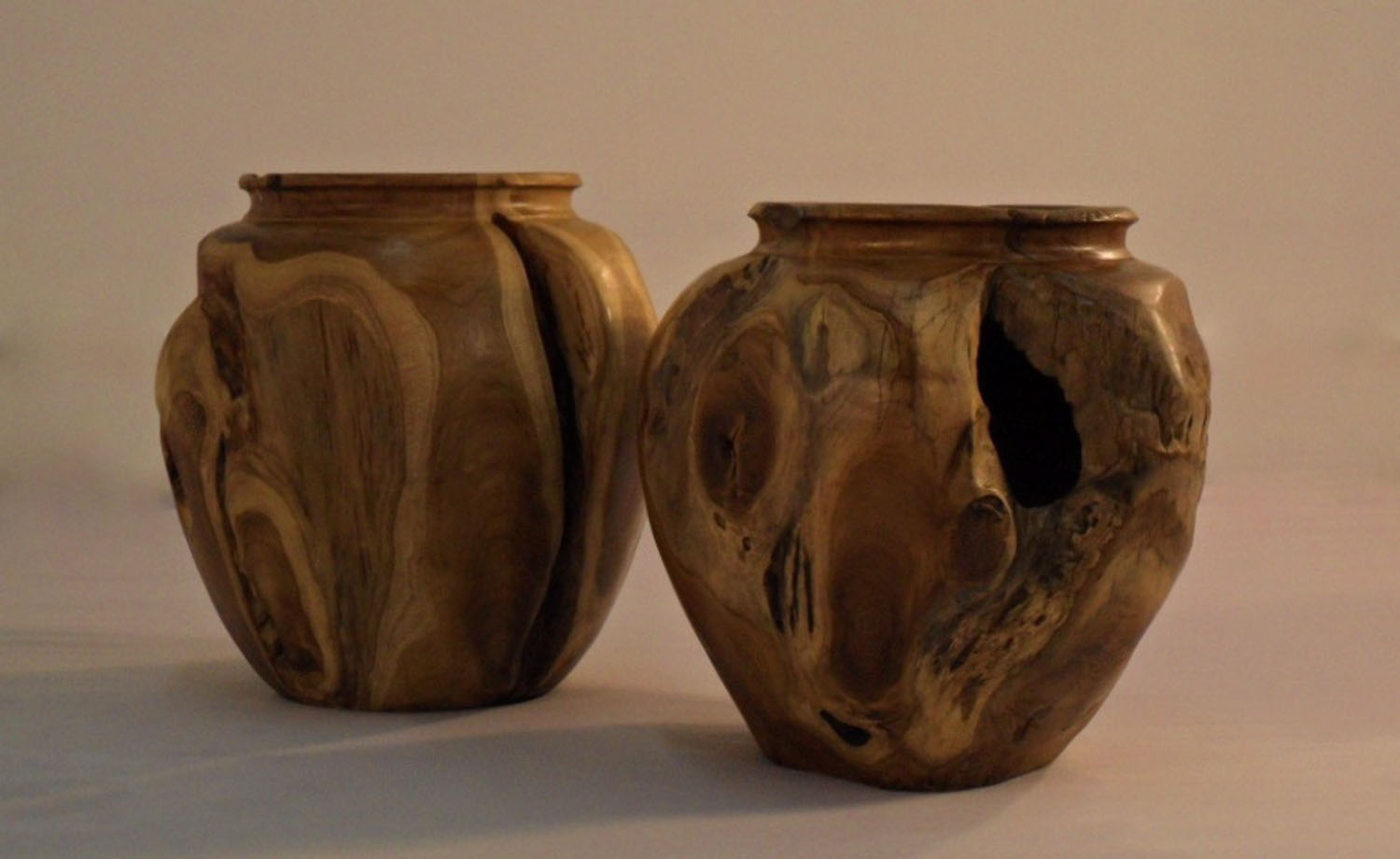 Copy of Organically Sculpted Teak Root Vase (1)