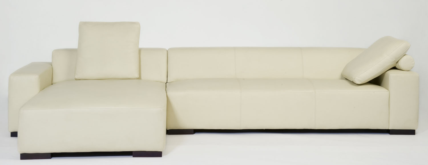 Copy of Coast Sectional with Chaise with pillows
