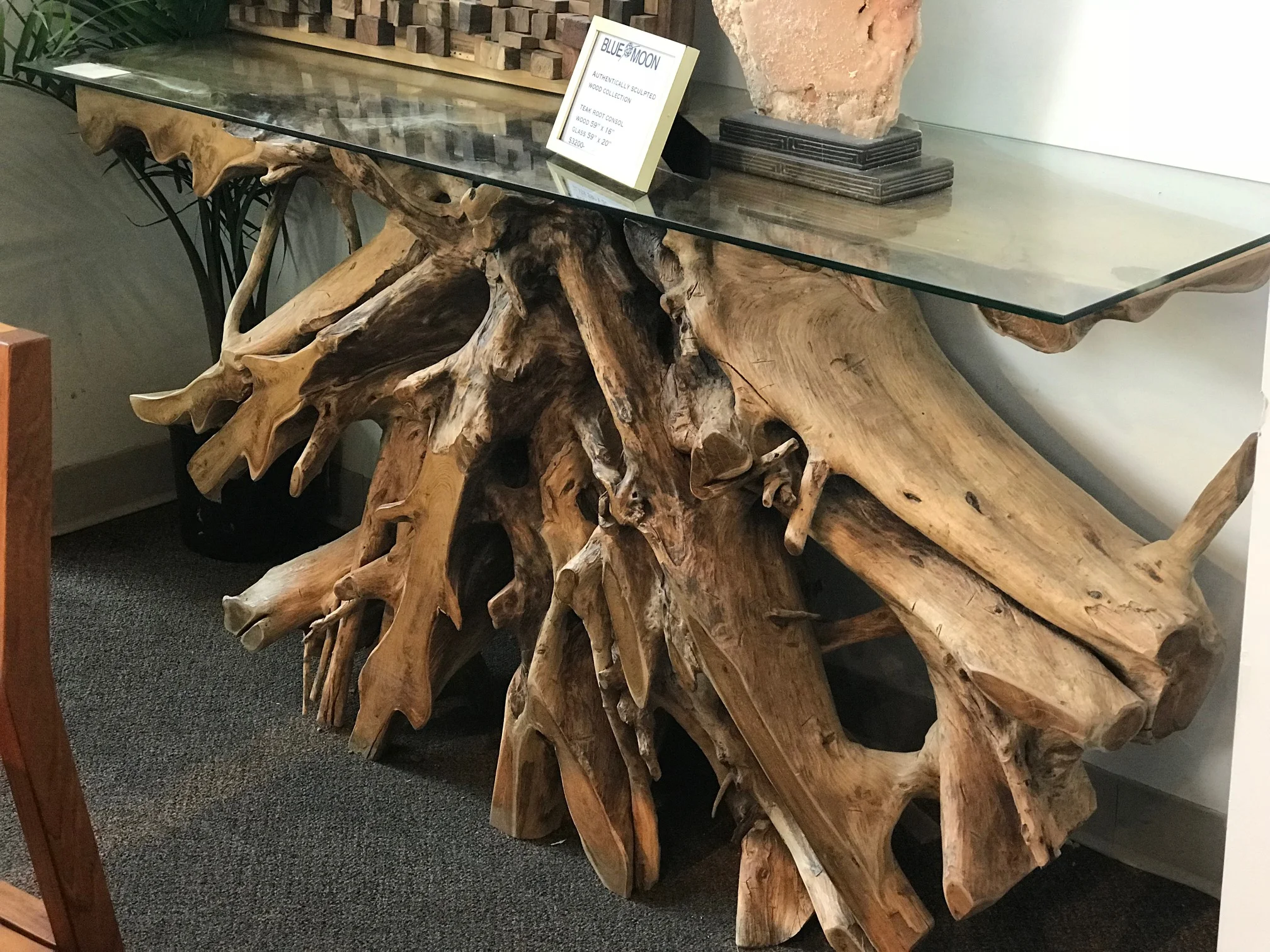 blue moon furniture store in winnipeg. Teak Root console table with glass. sculptural furiture.jpg