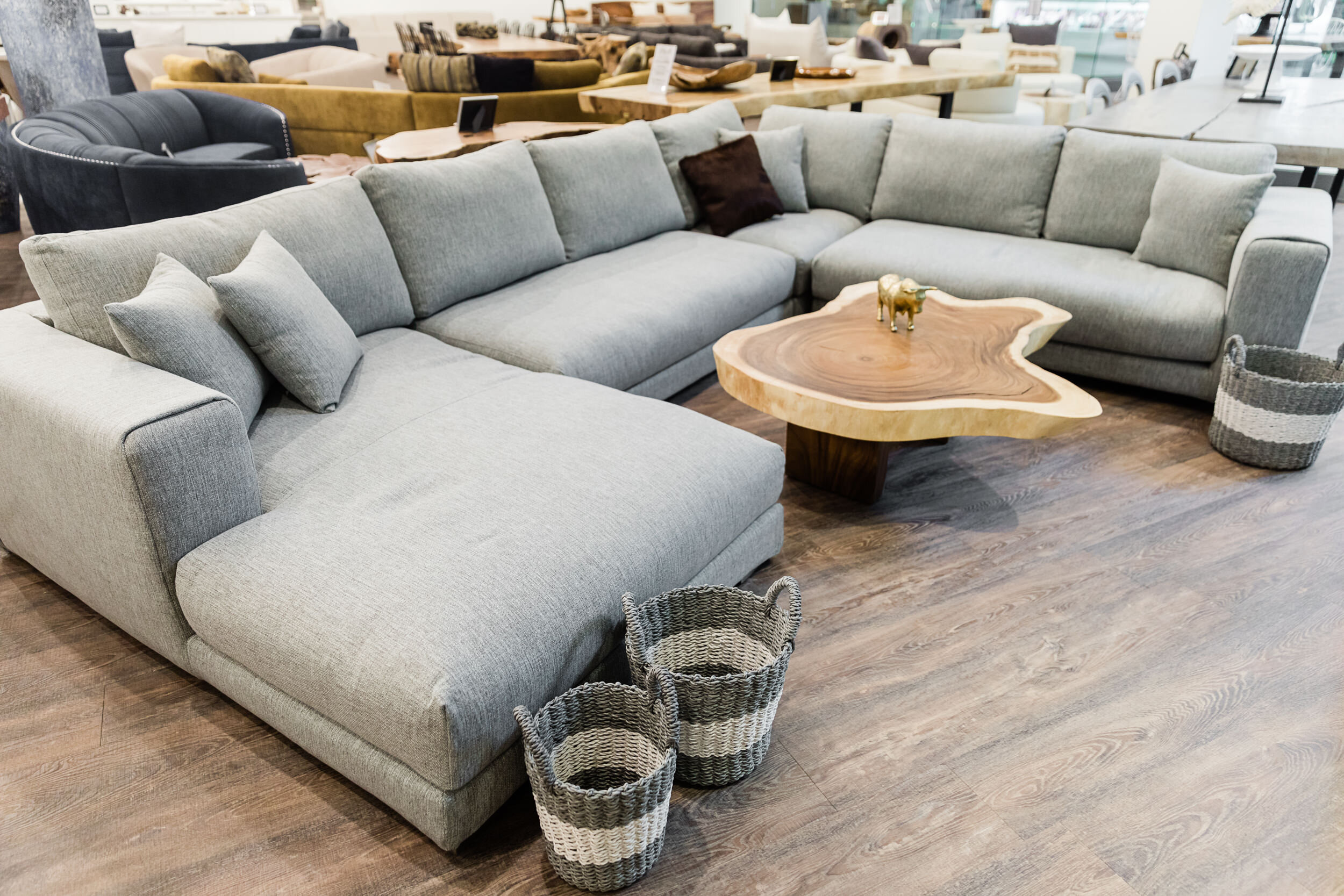 2019-06-21_BlueMoonFurnitureLR093.jpg