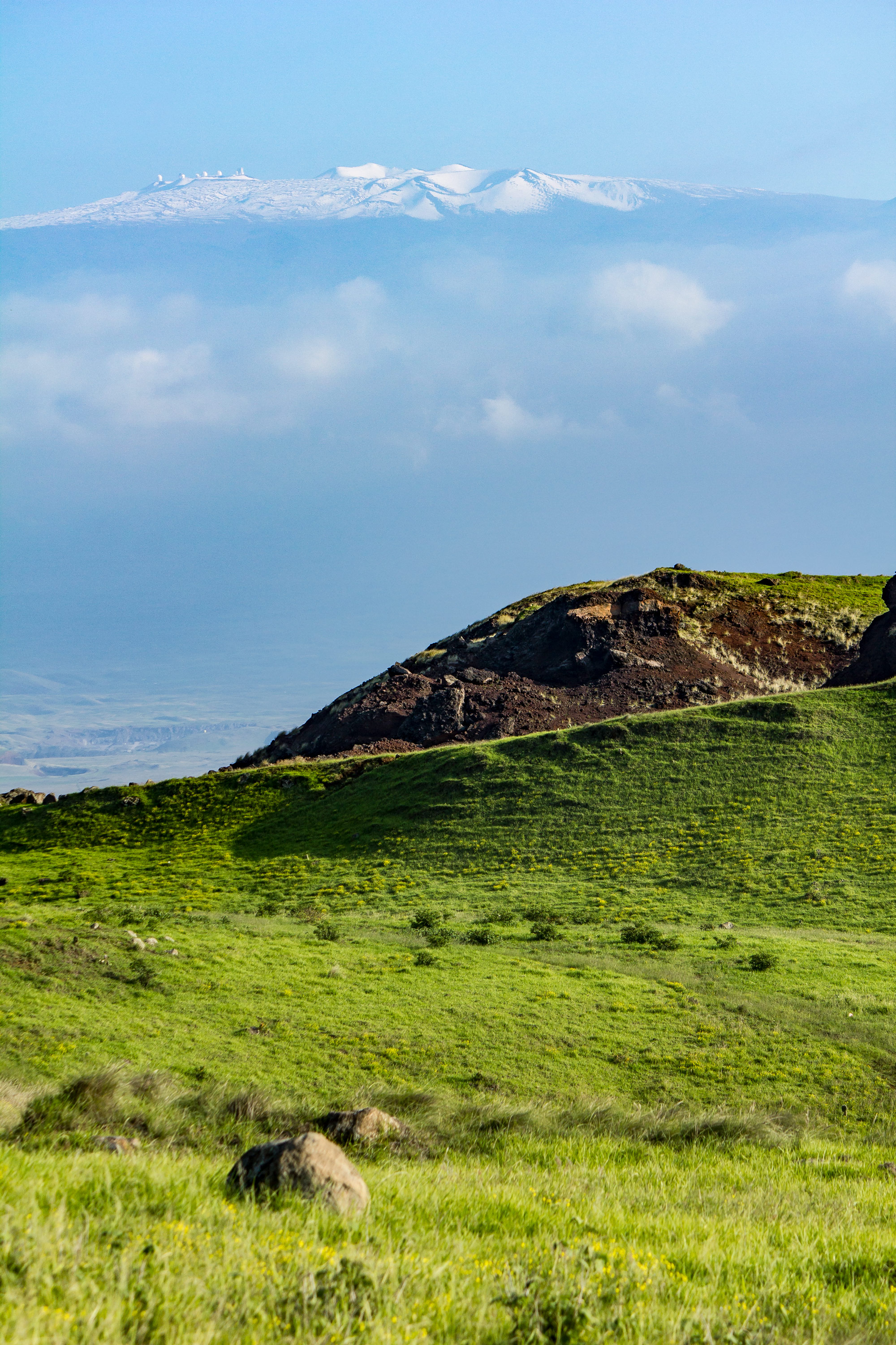 Telescopes-and-Hill-Web.jpg
