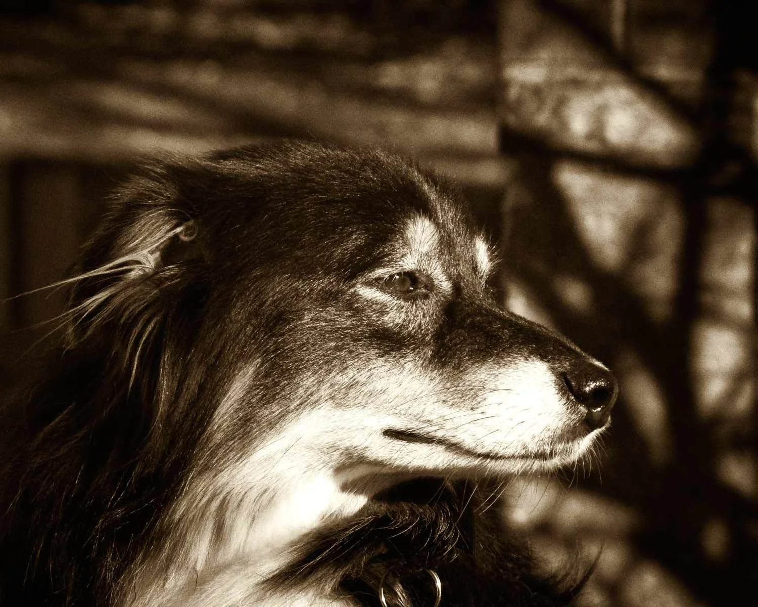 0369BW-Austin.jpg