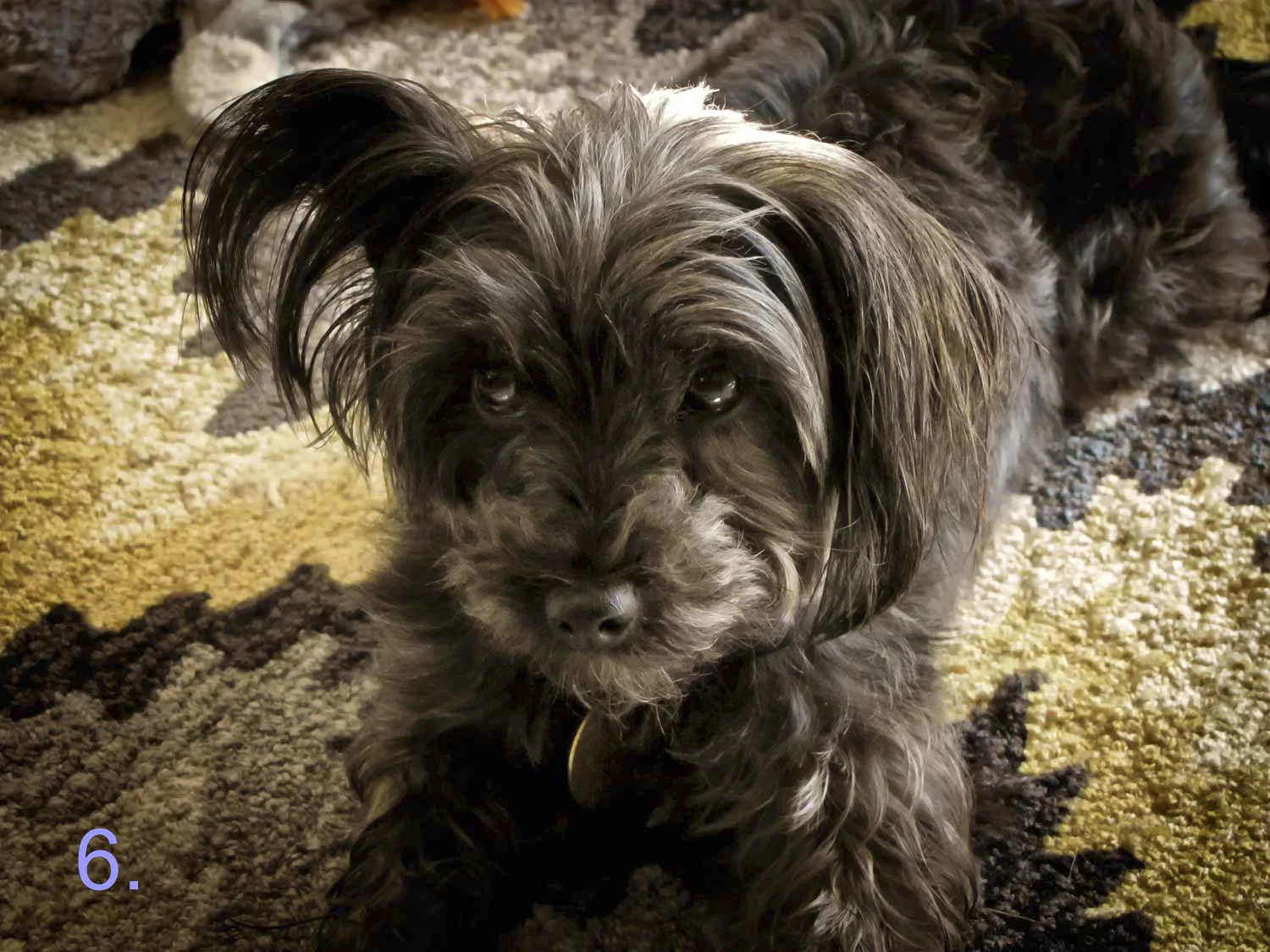 StellaL-6.jpg