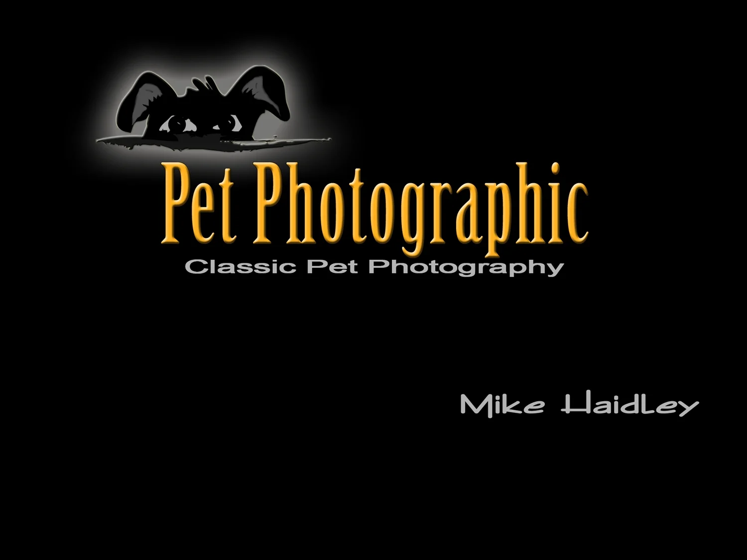 homepage1.jpg