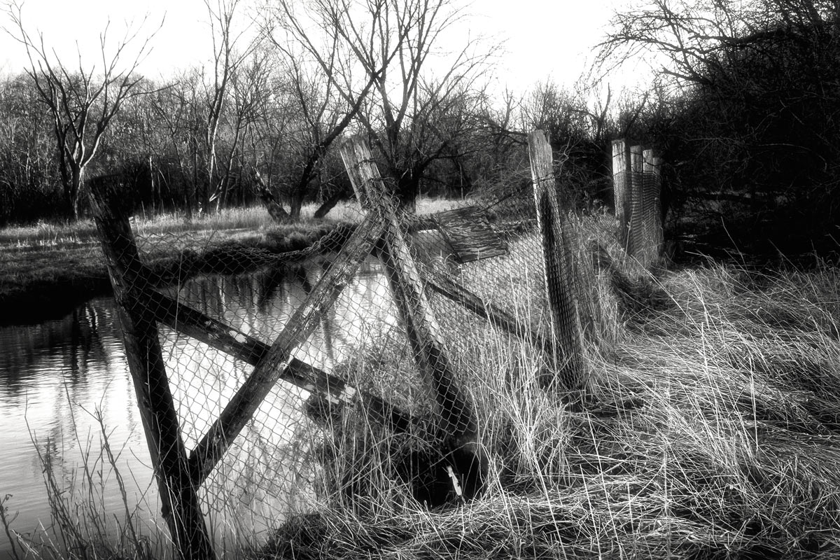 I shot this at St.James Farm. I really like black and white and with us being in the middle of our very bleak winter, it seems to work well.