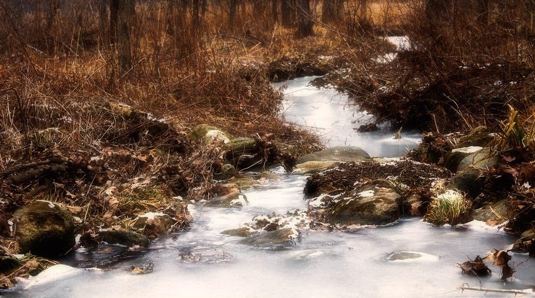 Lyman &nbsp;Woods is this location, it is at the corner of Highland and 31st Street, in Downers Grove. 