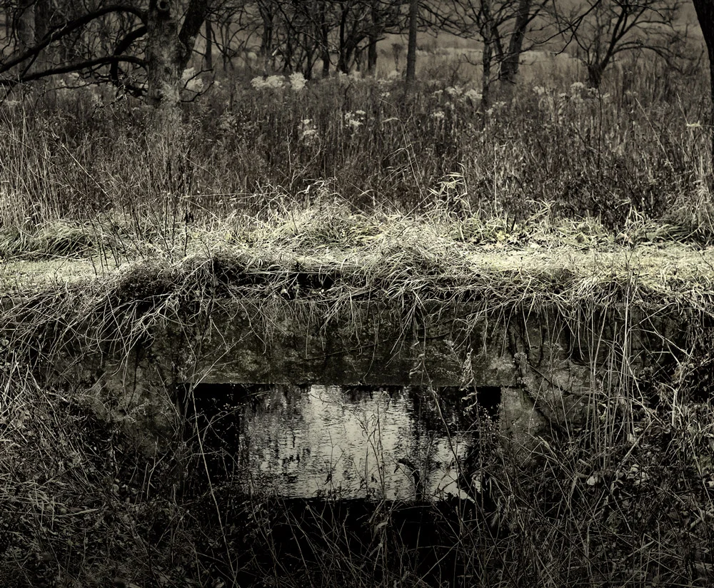 Lately I find myself leaning more towards the monochrome form in the visual arts. I have always had a soft spot for black and white image's, sometimes with just a bit of color peeking through. What I like the most with this composition is that it ex…